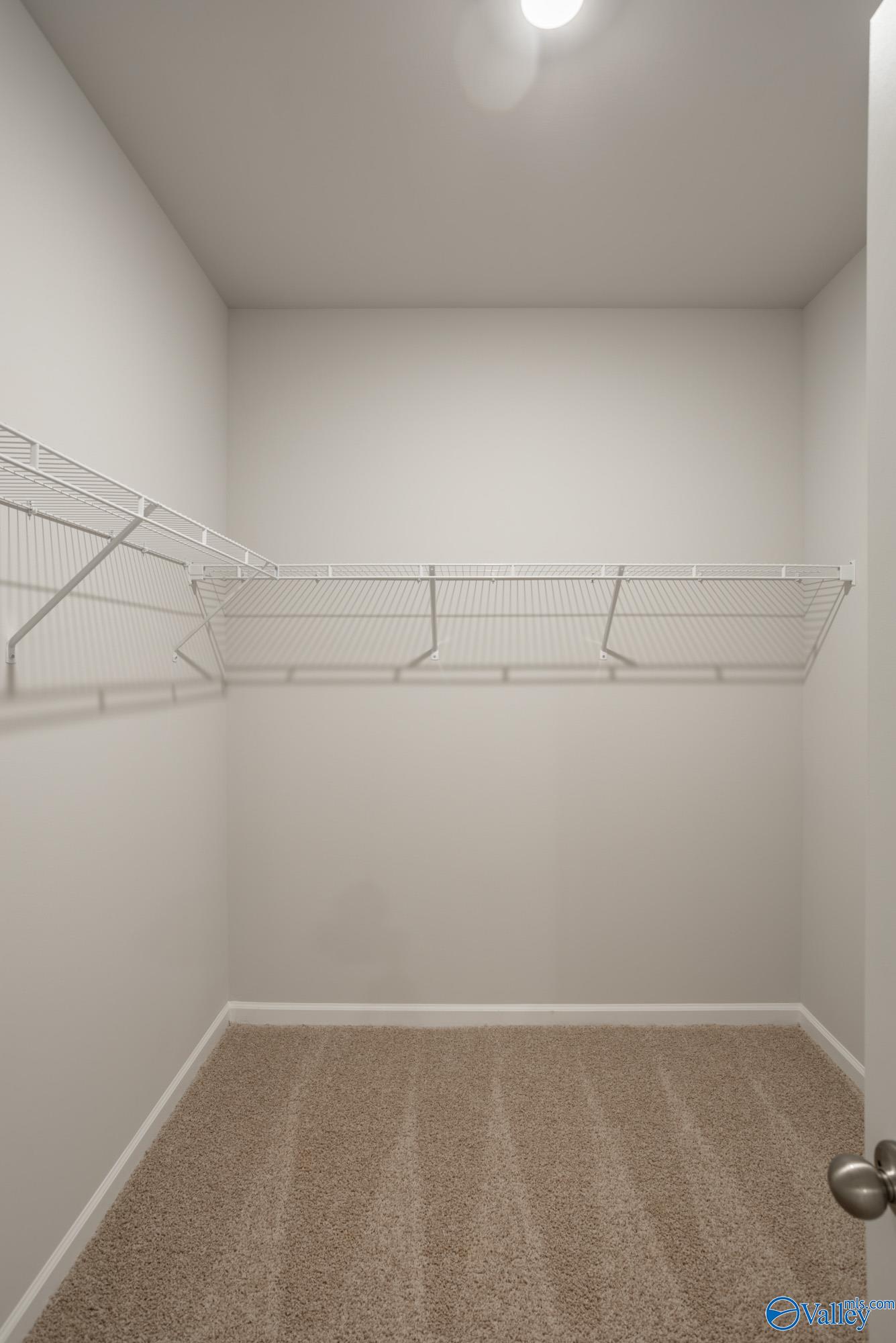 24880 Delilah Circle