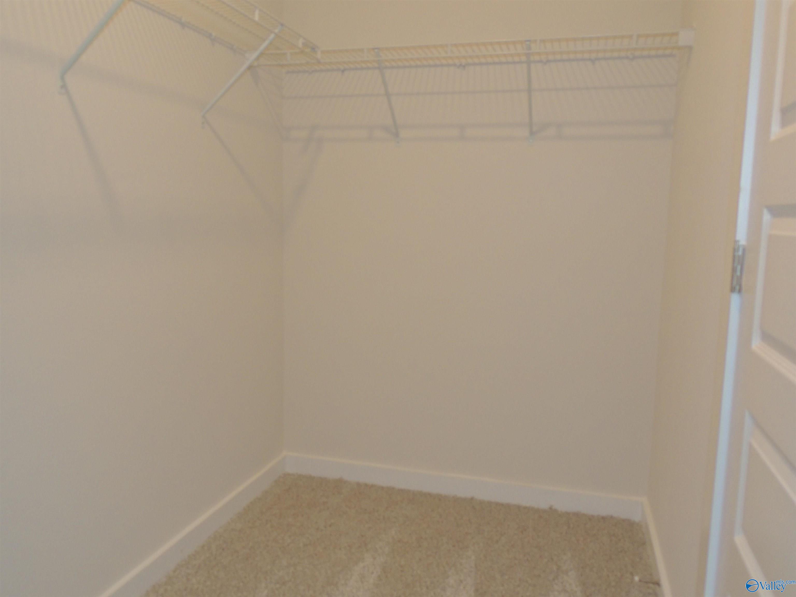 26256 Beech Grove Lane