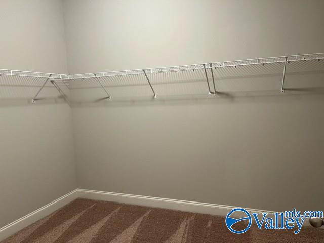 293 Blue Creek Drive