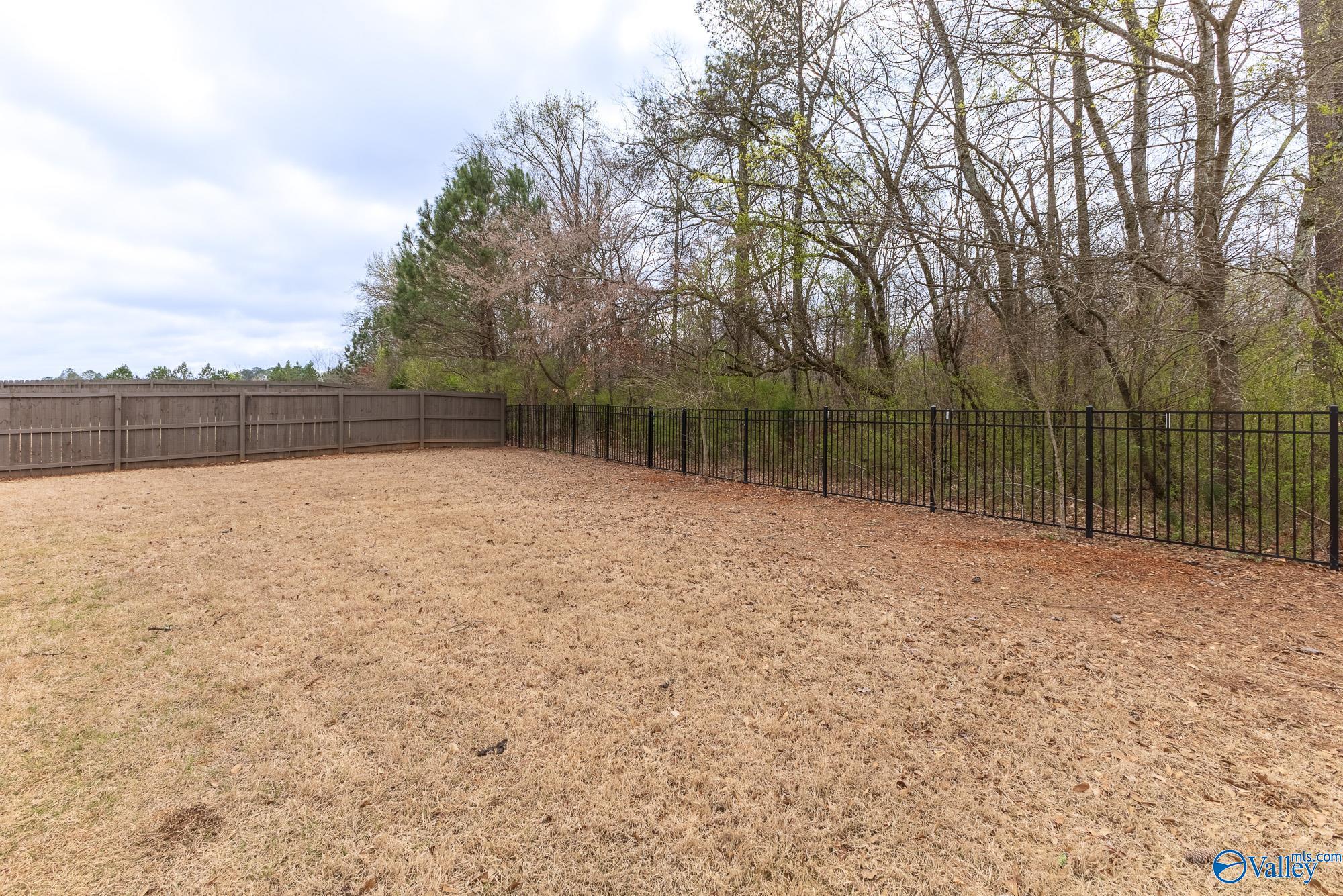 29746 Copperpenny Drive