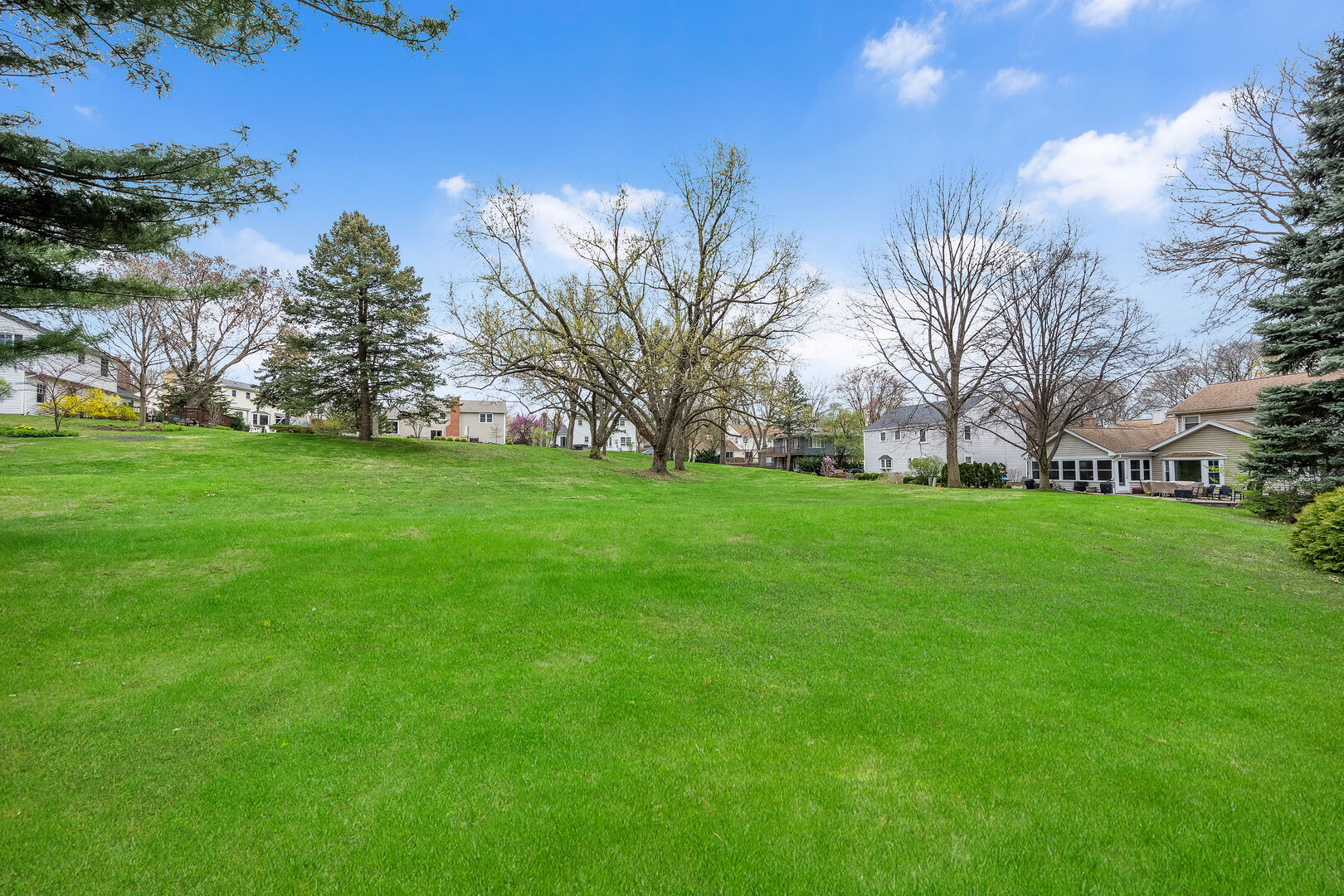 1567 Snowberry Court