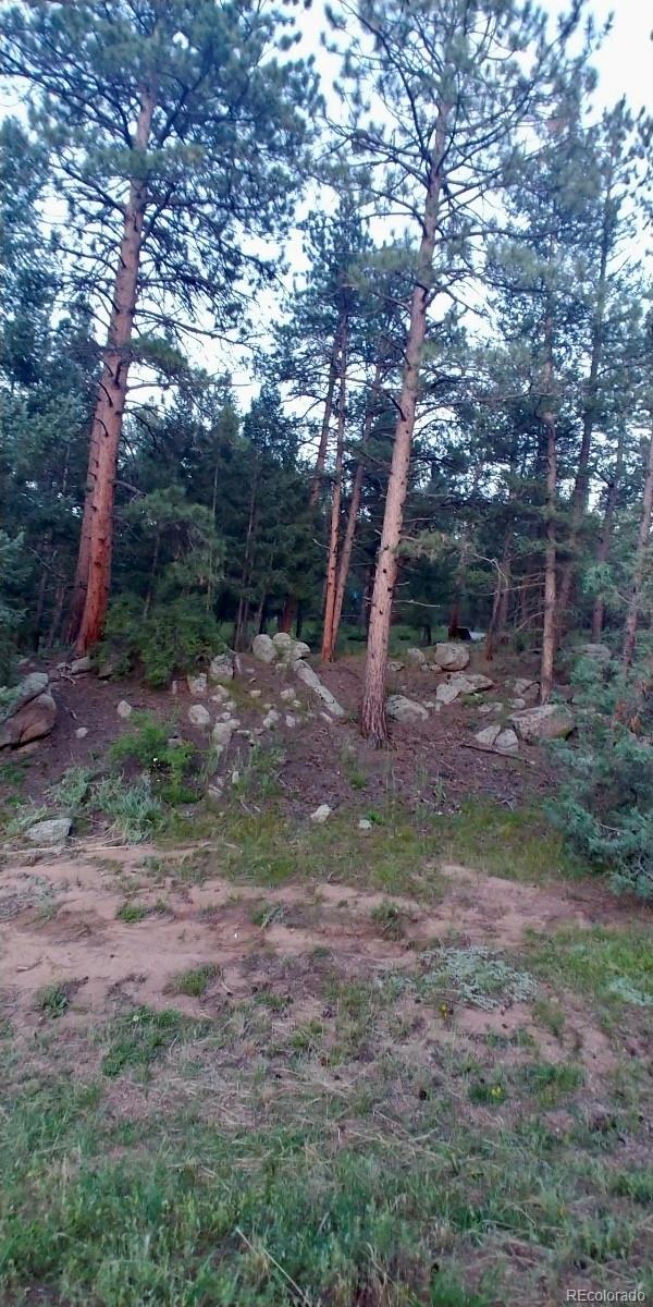 20173 Spring Creek Trail