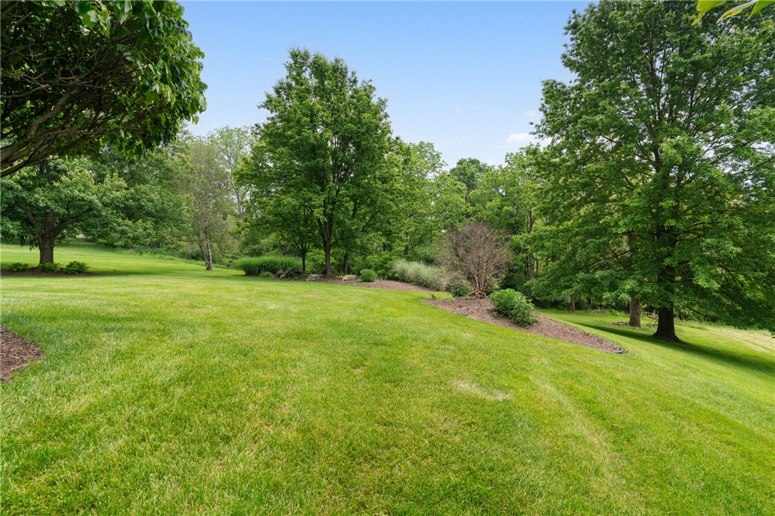 26 Indian Fields Trl