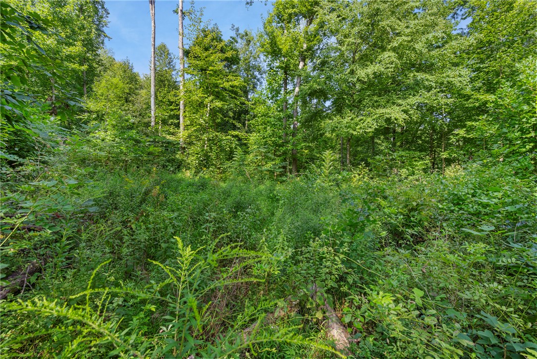 W Prospect Rd (Pa-528)