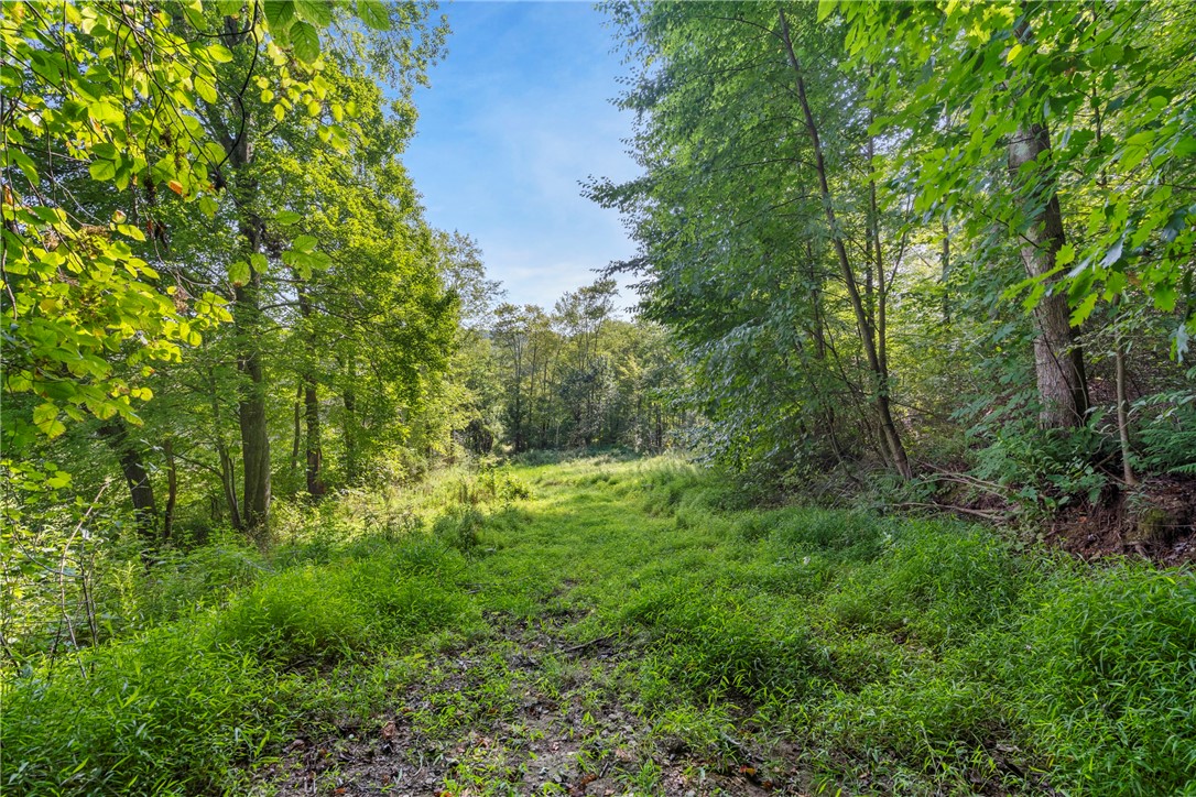 W Prospect Rd (Pa-528)