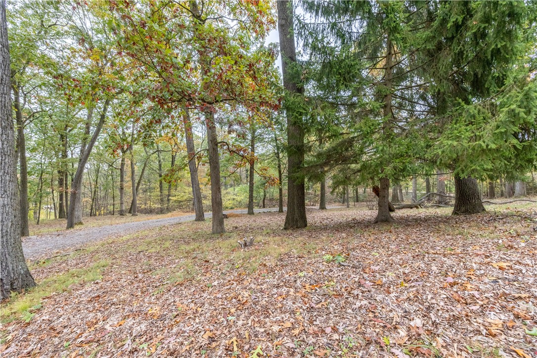 1194 Donnellville Rd