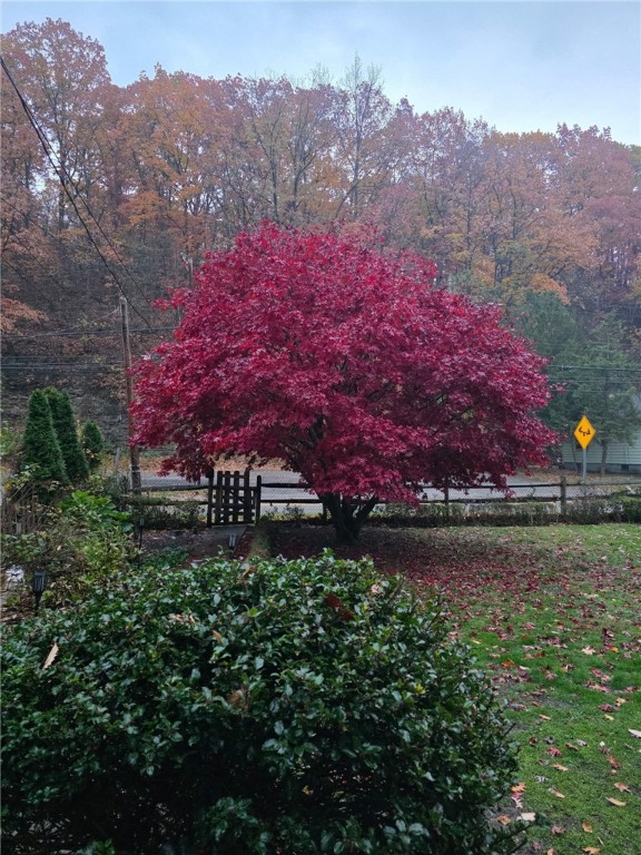 3318 Spring Garden Rd