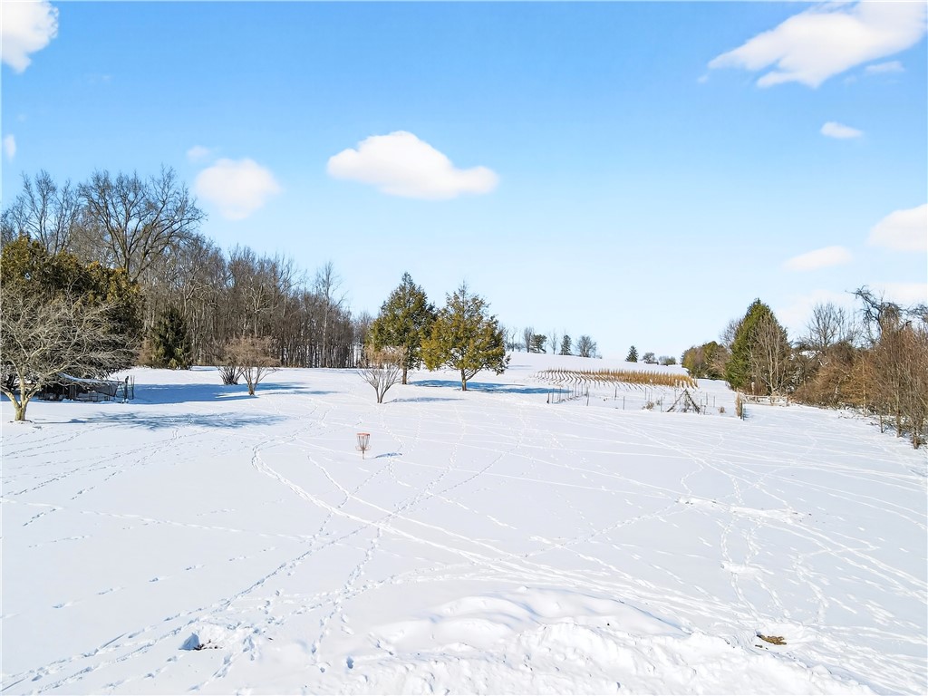 56 Foxglove Drive Ext