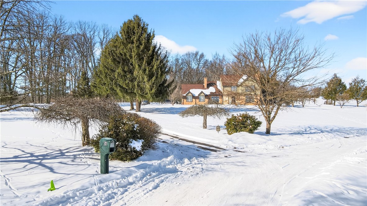 56 Foxglove Drive Ext