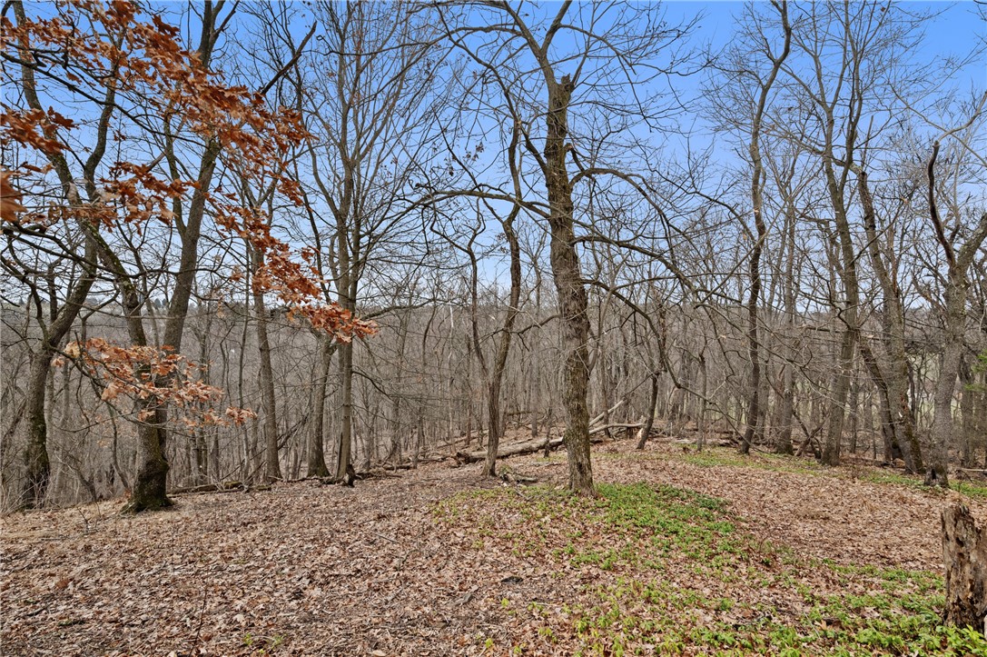 31 Collinwood Dr
