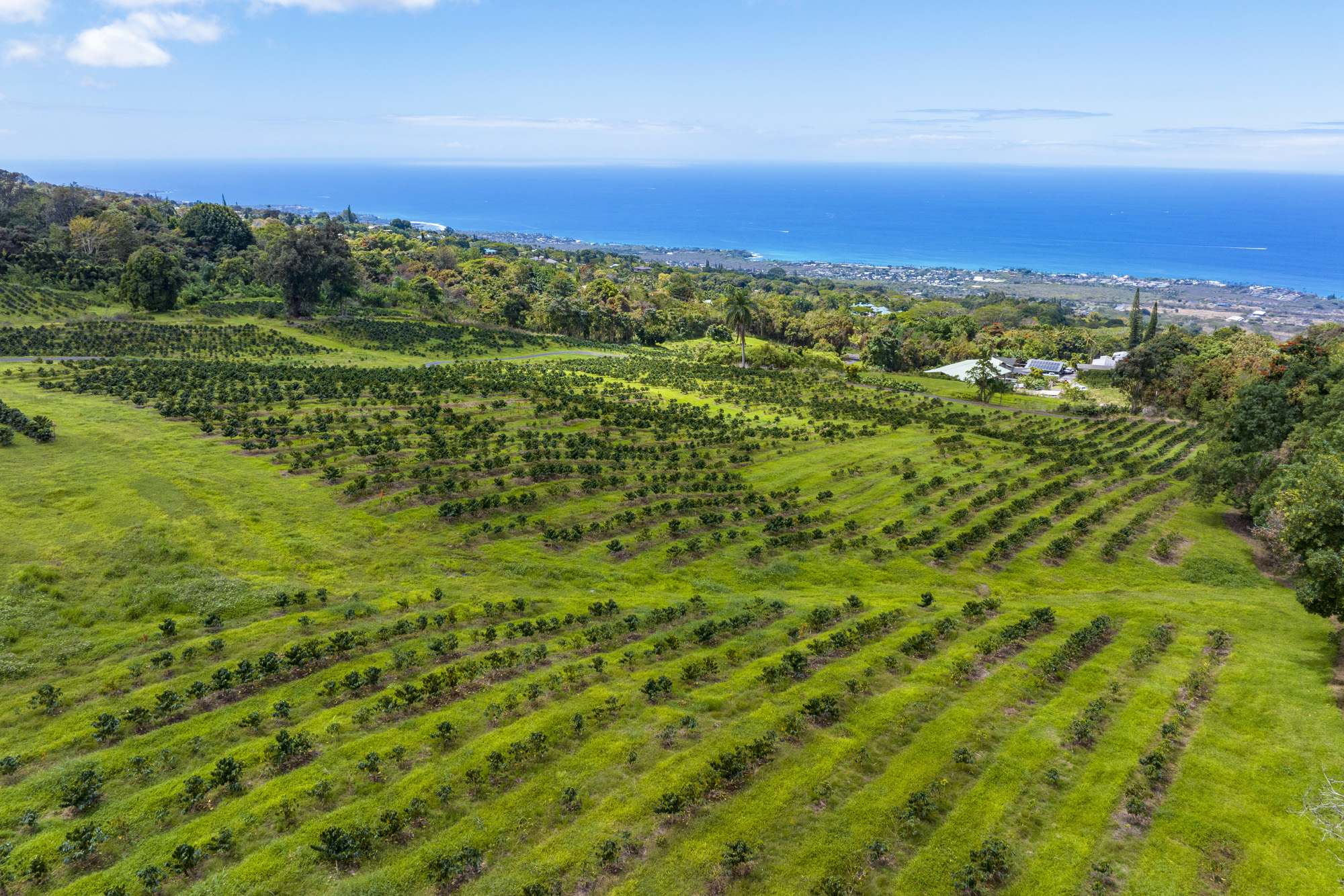 75-5691 MAMALAHOA HWY