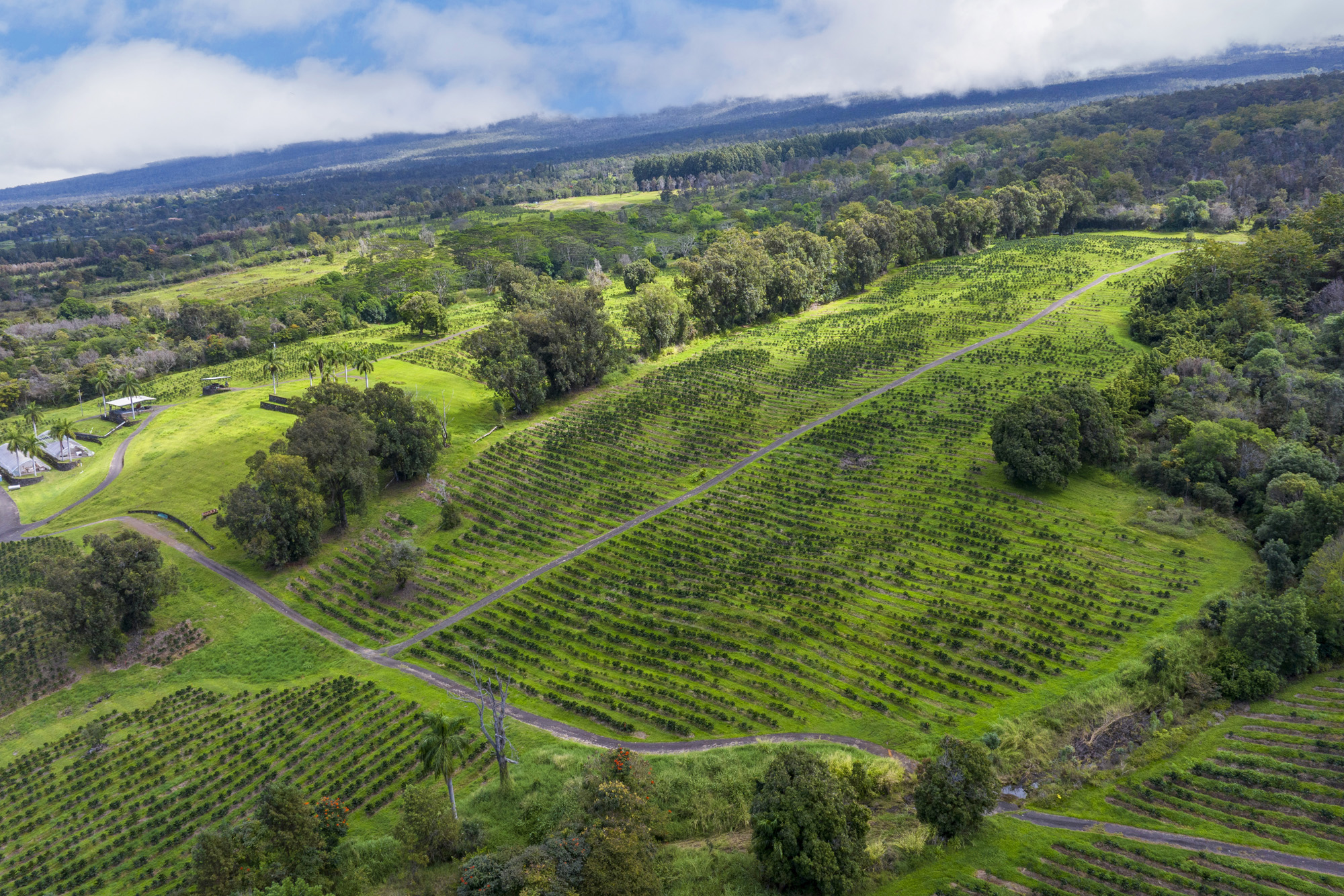 75-5691 MAMALAHOA HWY