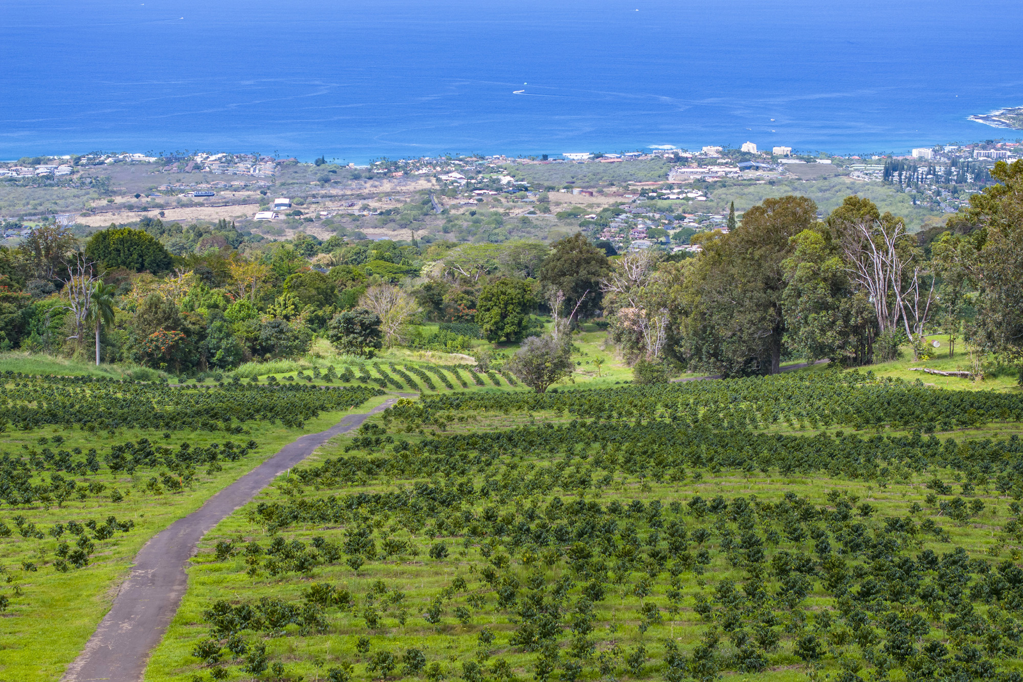 75-5691 MAMALAHOA HWY
