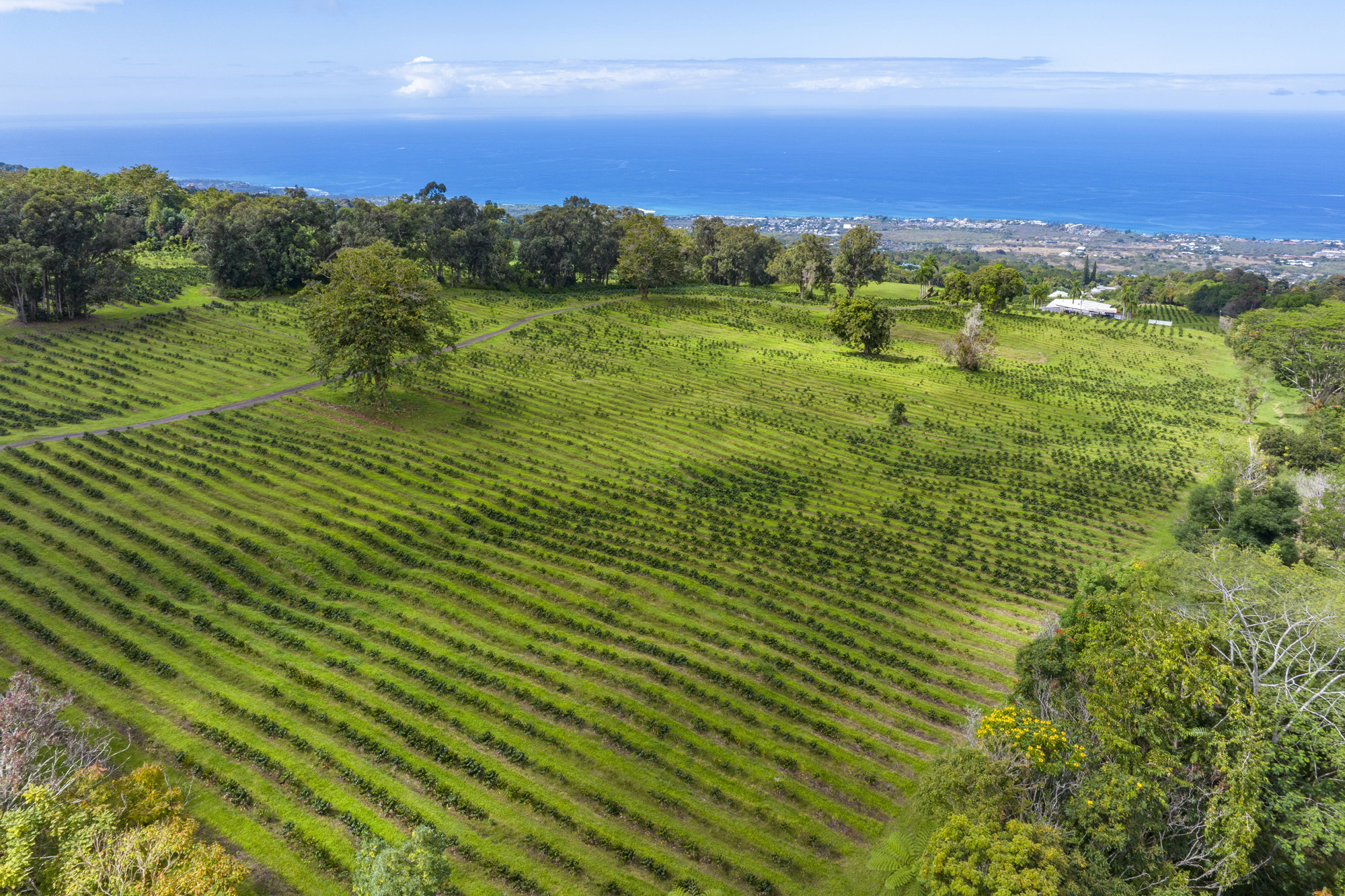 75-5691 MAMALAHOA HWY
