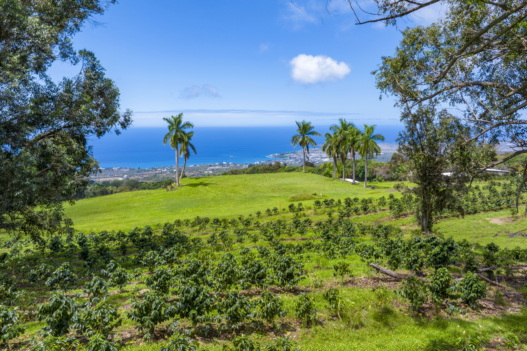 75-5691 MAMALAHOA HWY