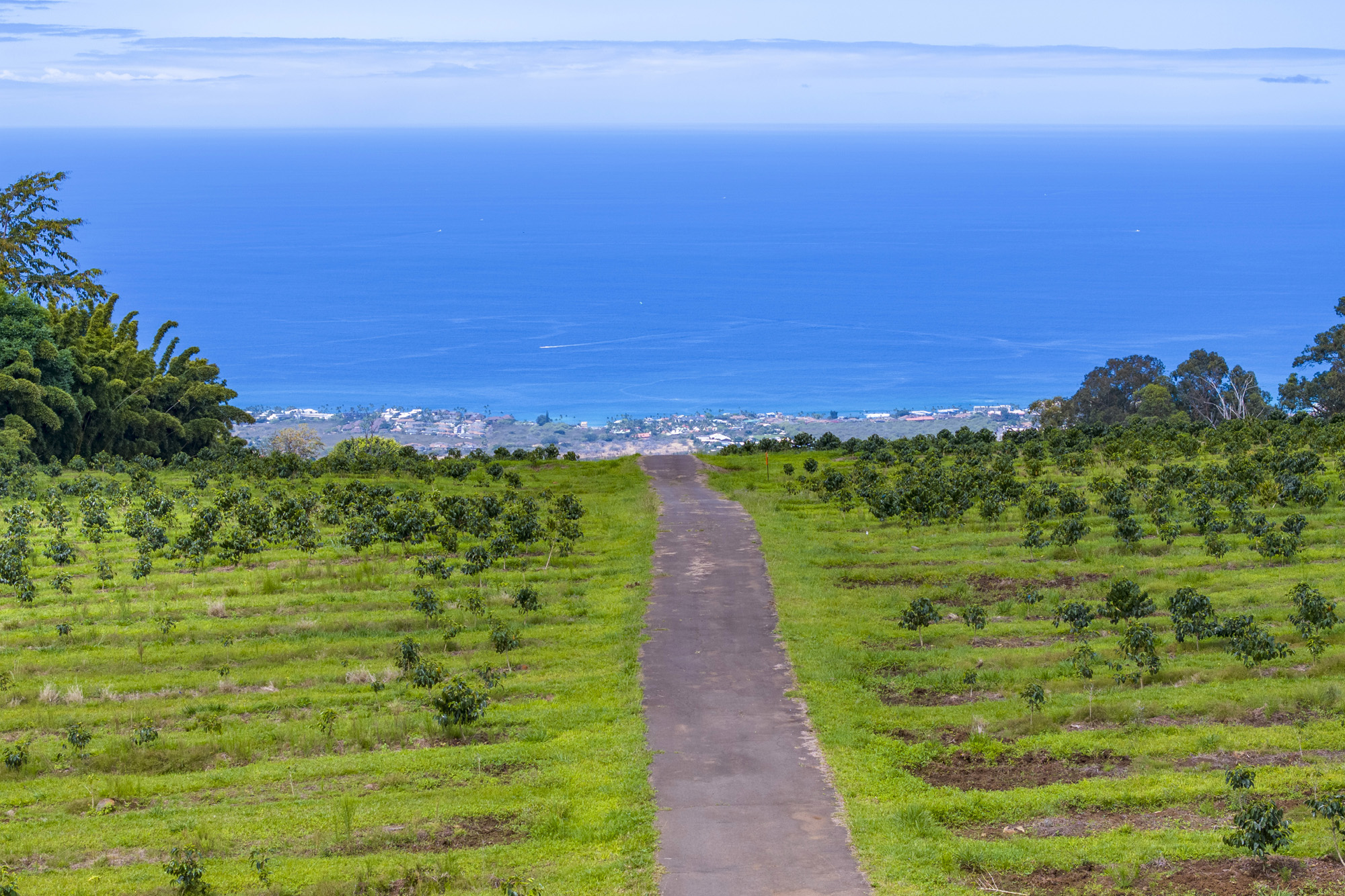 75-5691 MAMALAHOA HWY