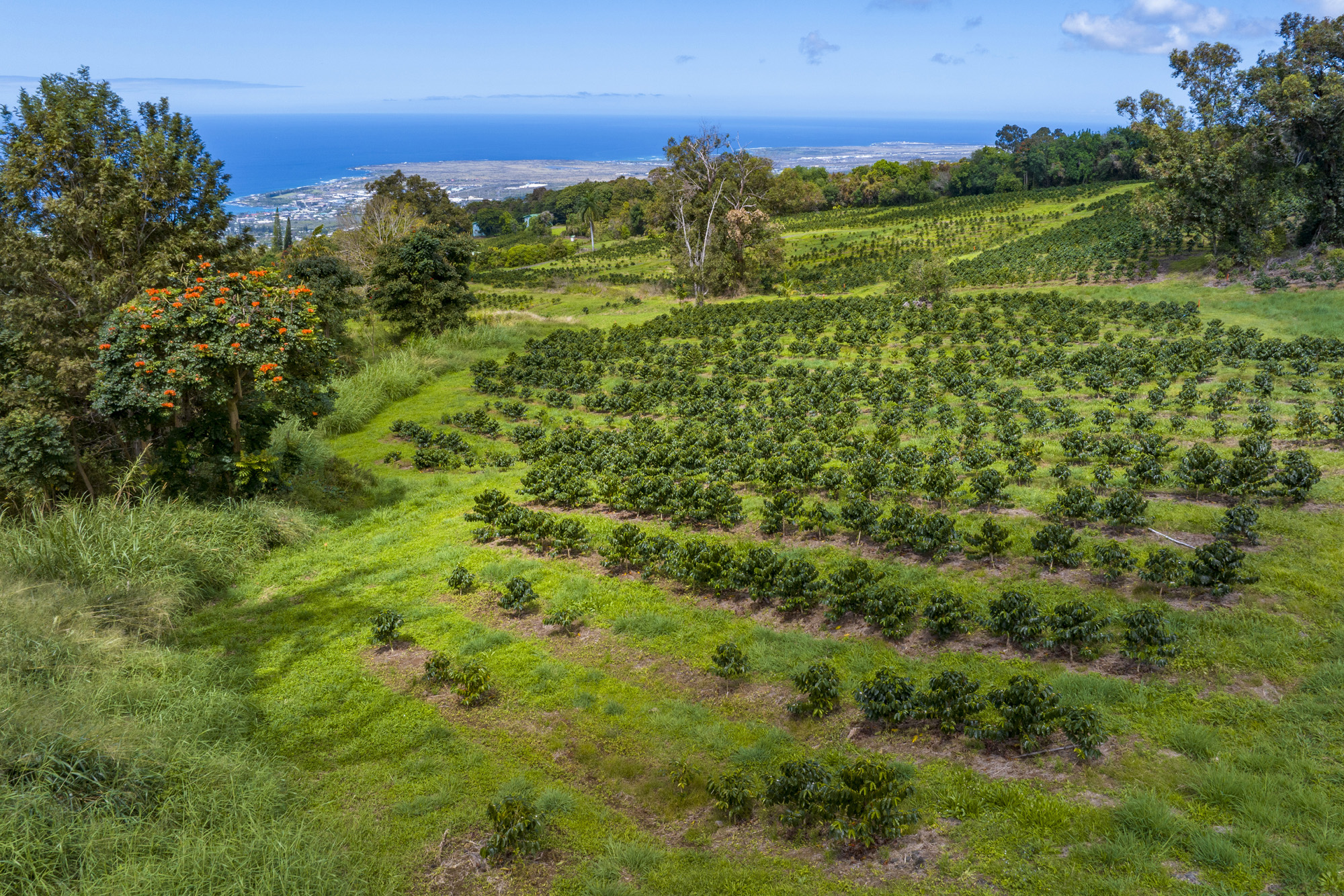 75-5691 MAMALAHOA HWY