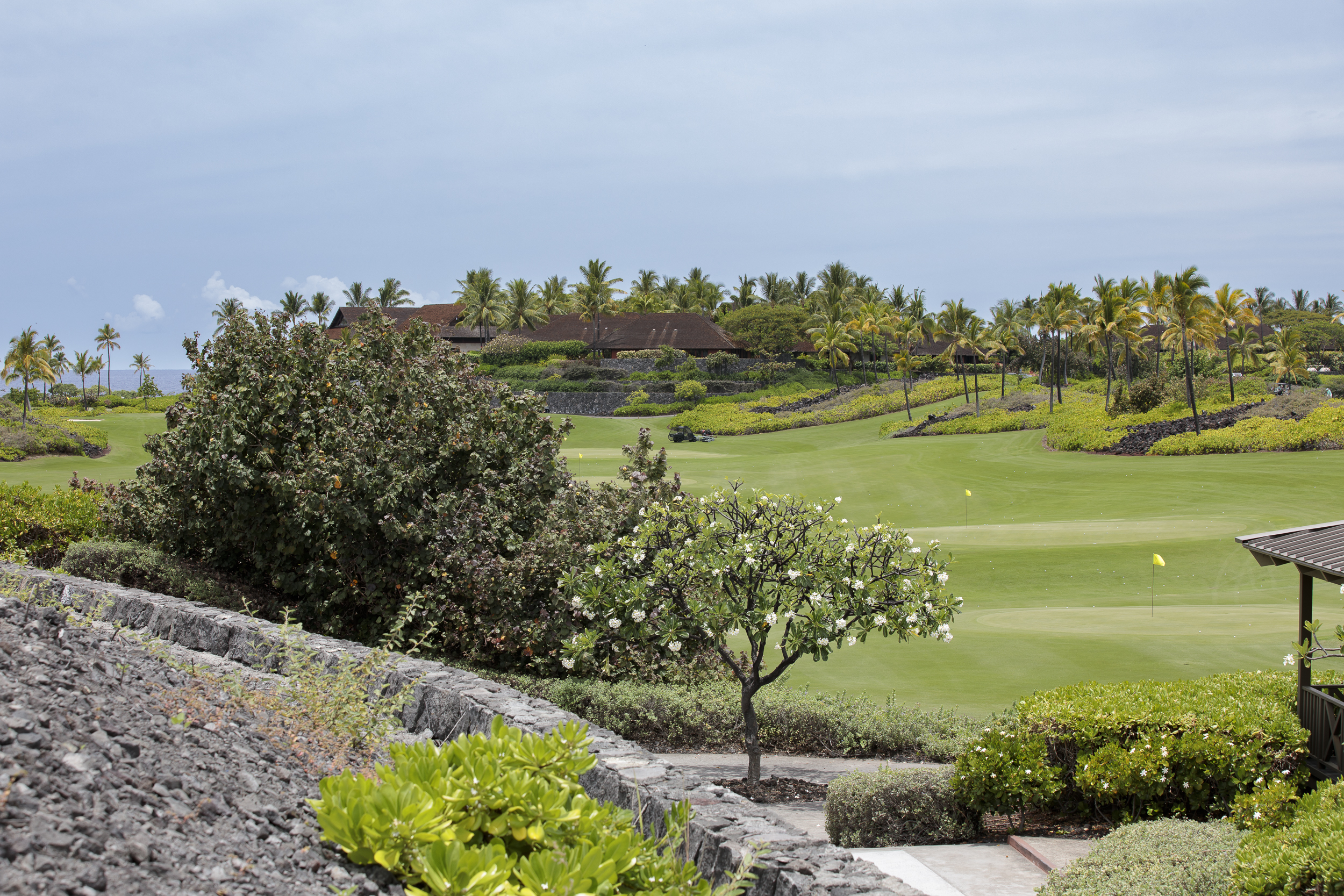 Homesite 22