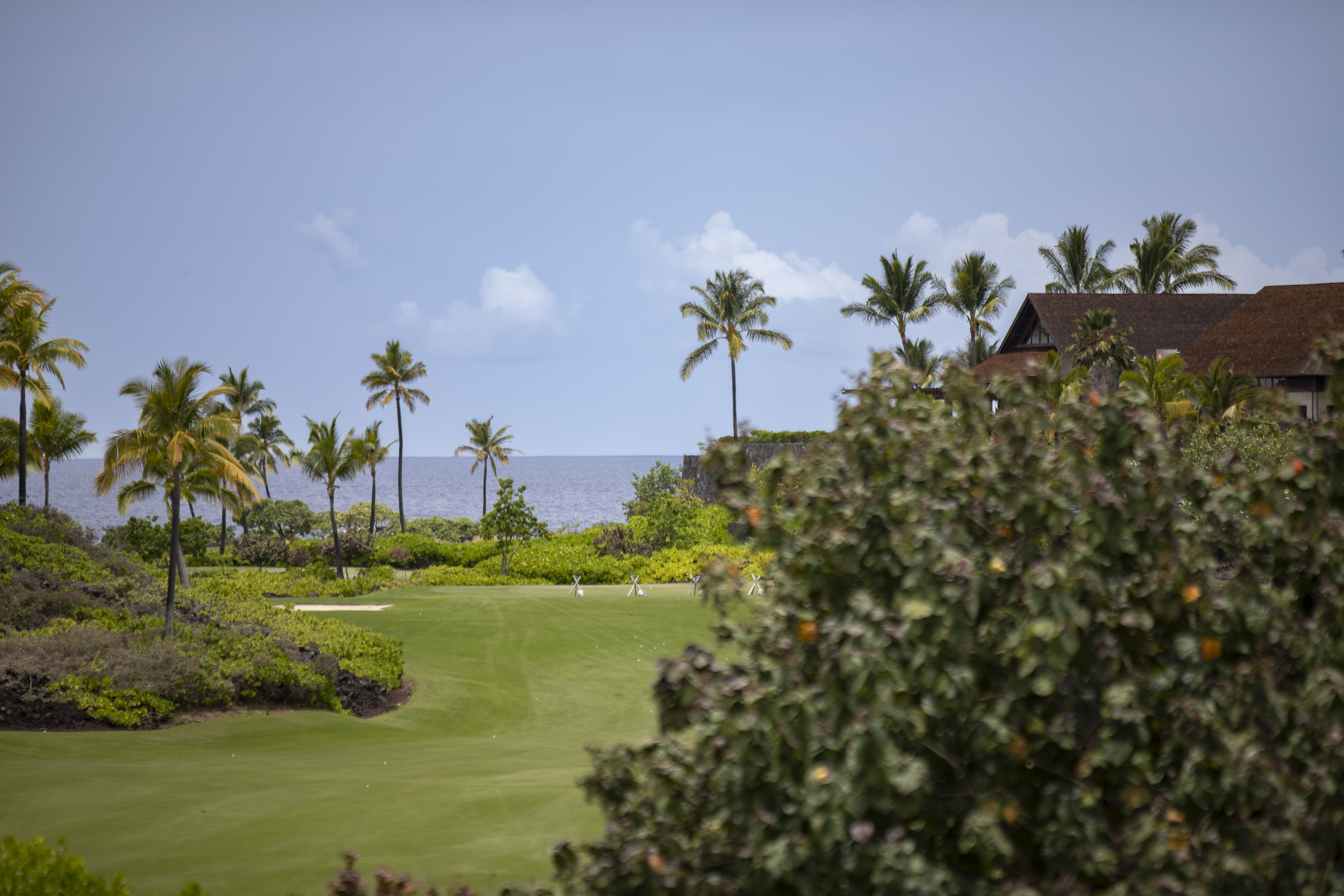 Homesite 22
