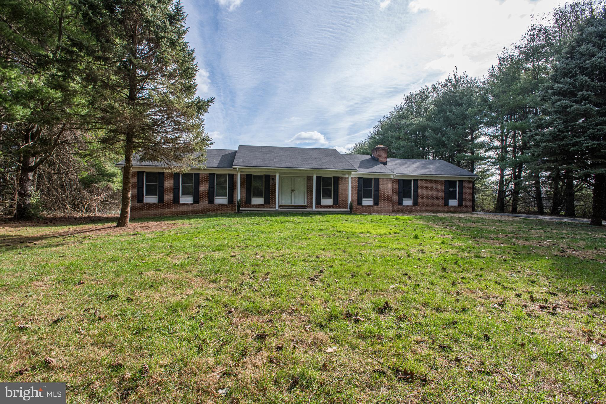 4 Limb Ct