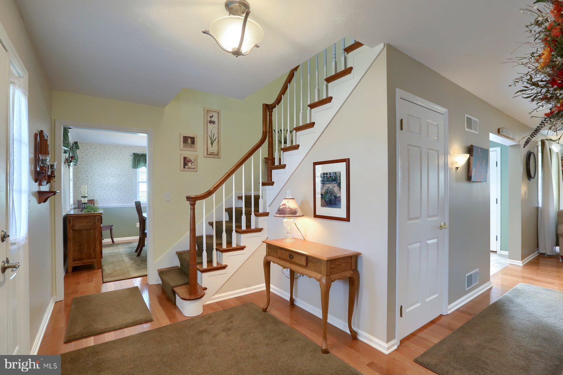 810 Shenandoah Ln