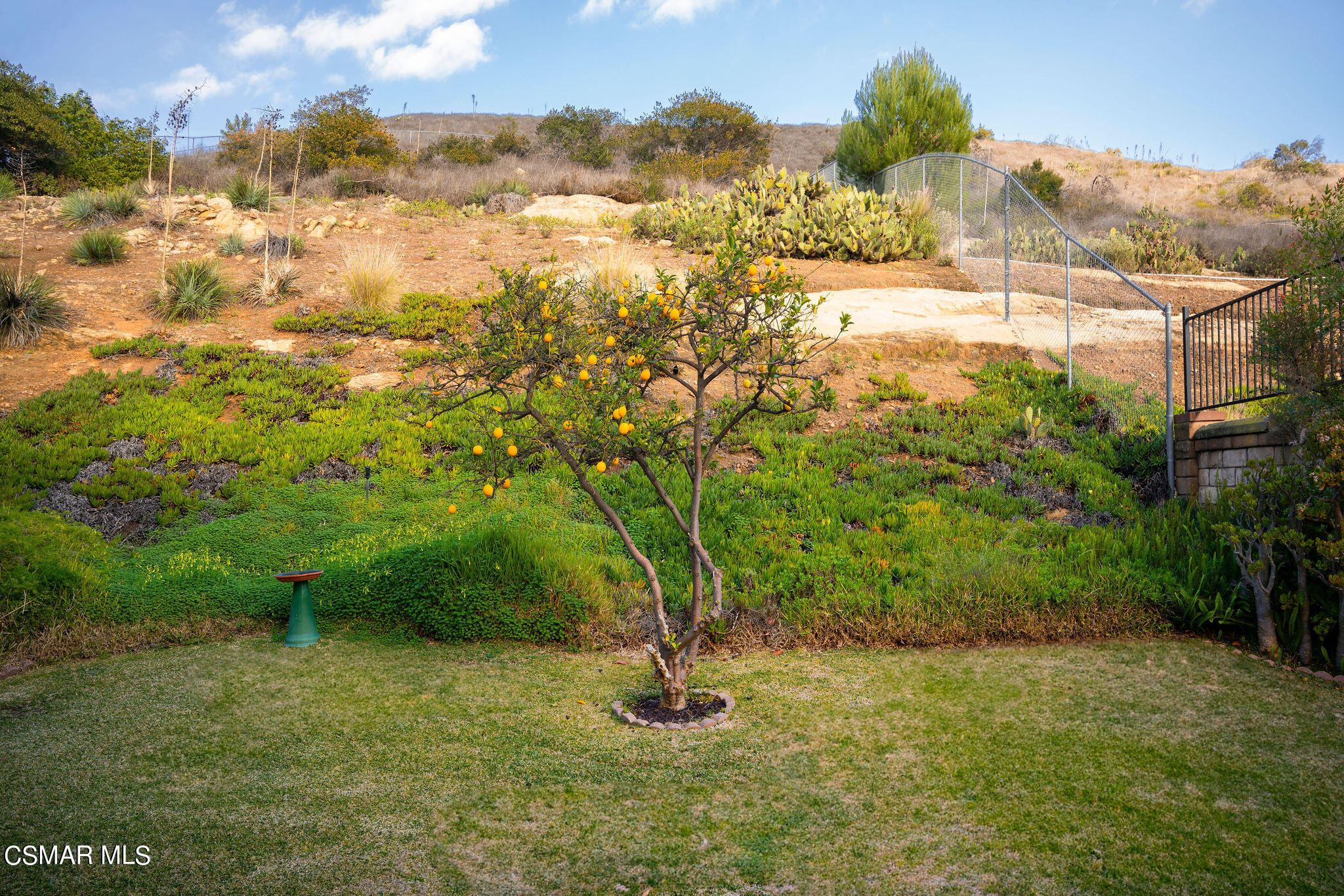 1446 Calle Yucca