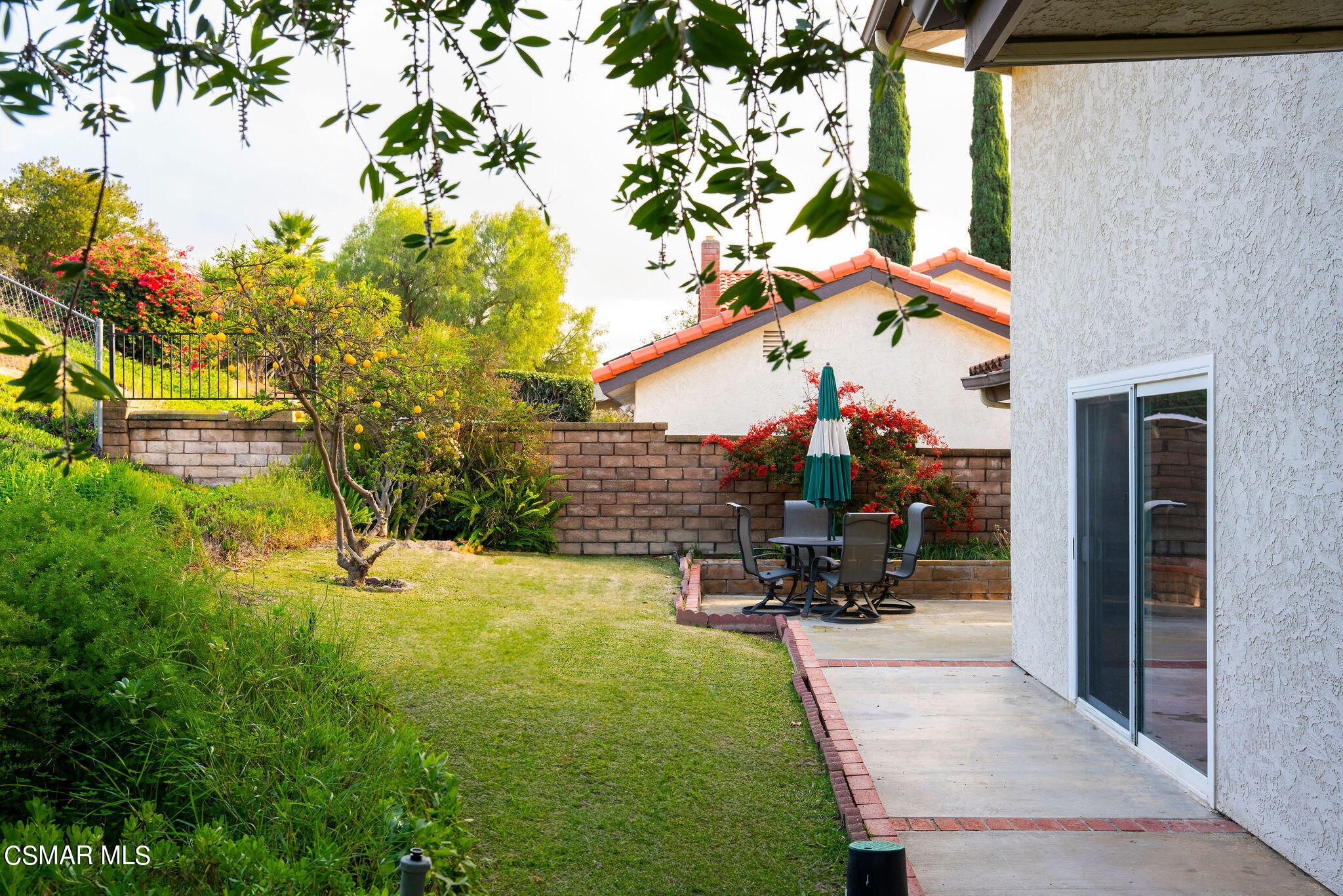 1446 Calle Yucca