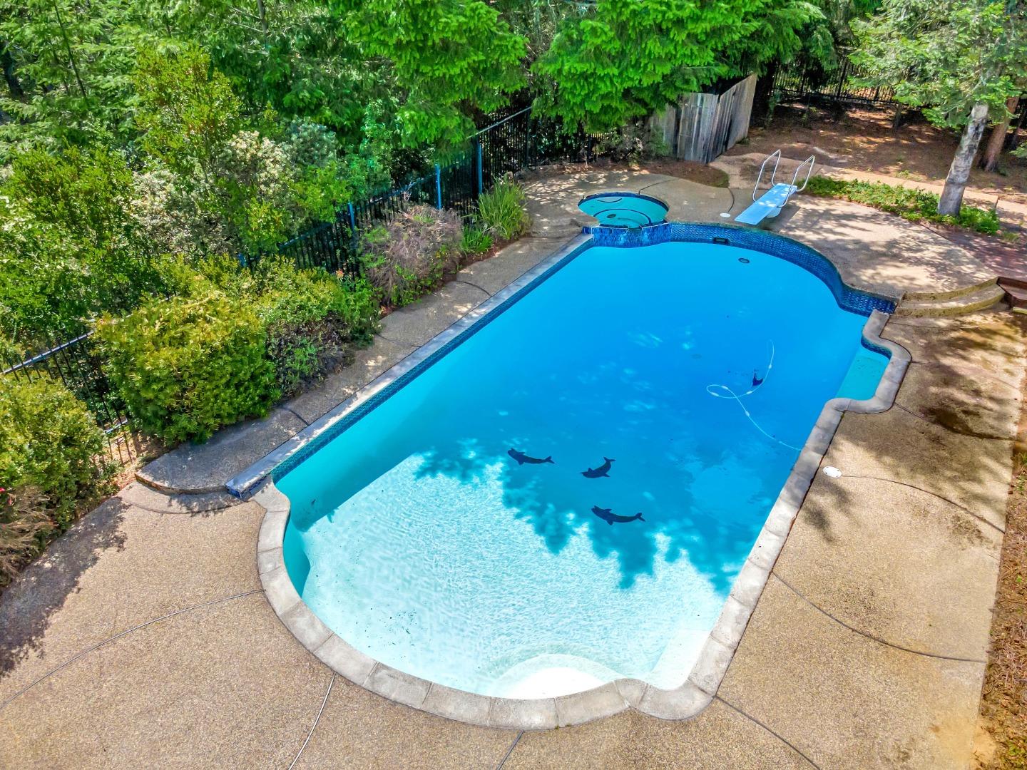 77 Azalea LN