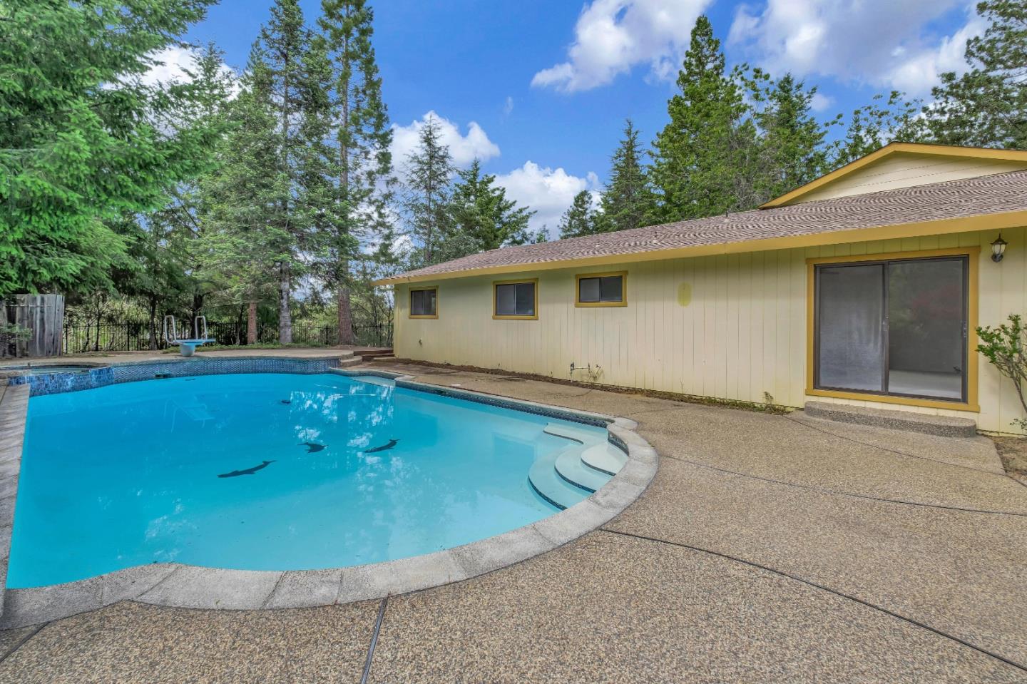 77 Azalea LN