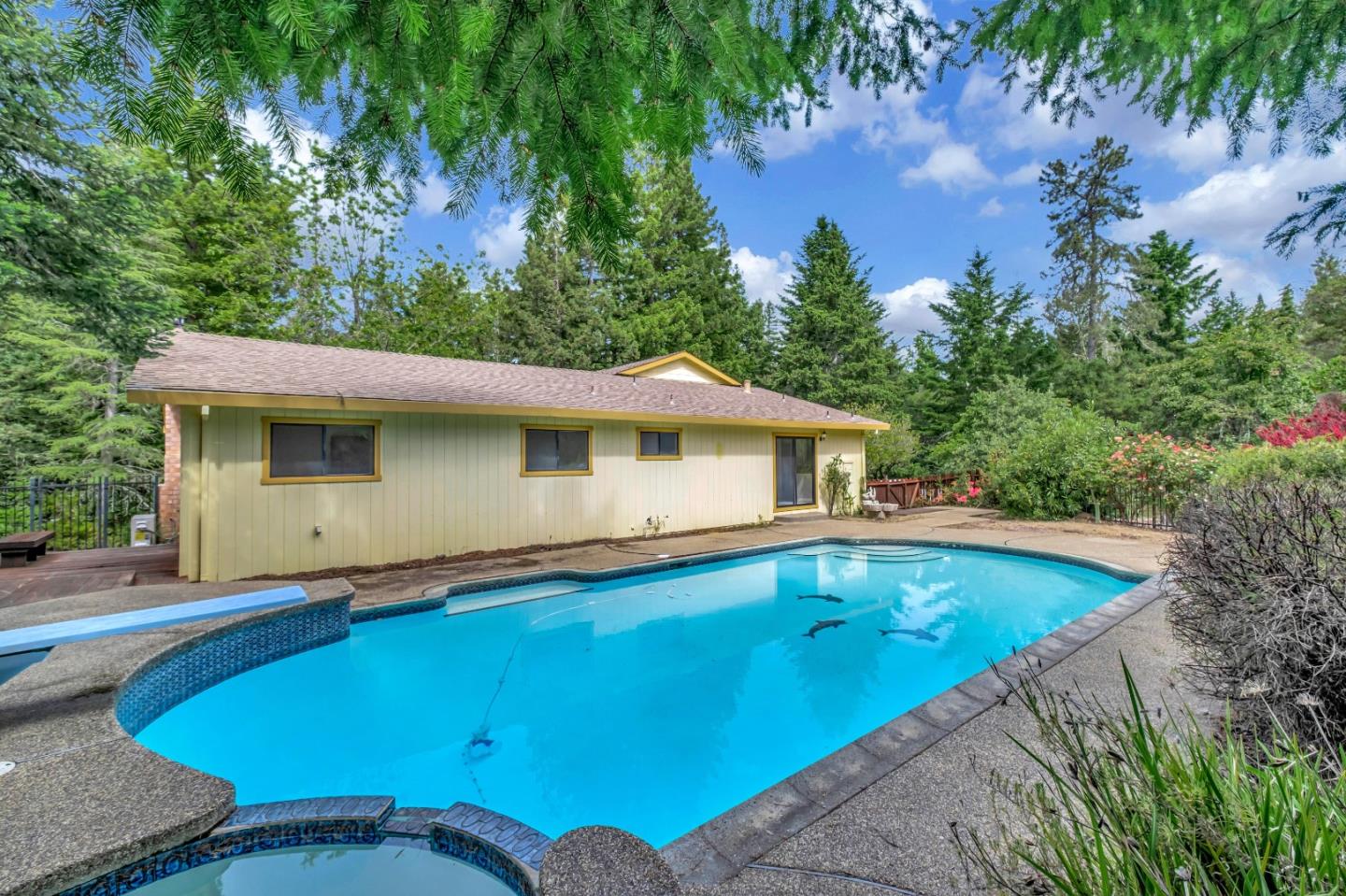 77 Azalea LN