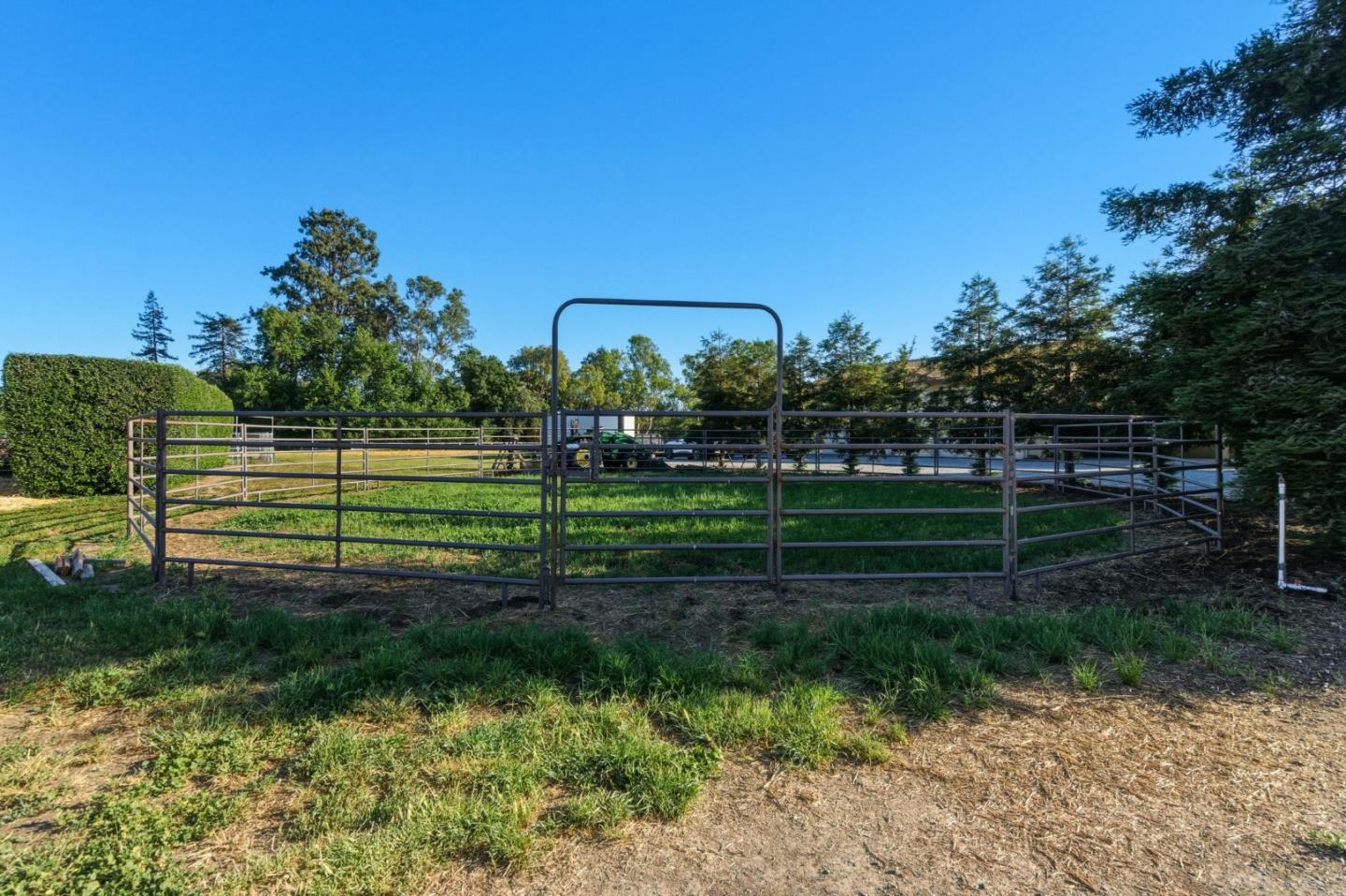 3390 Fallon Road