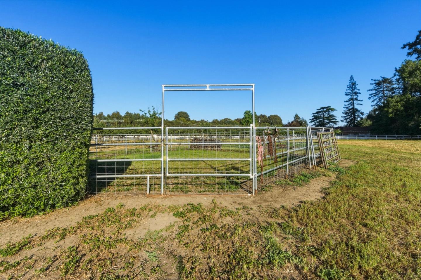 3390 Fallon Road