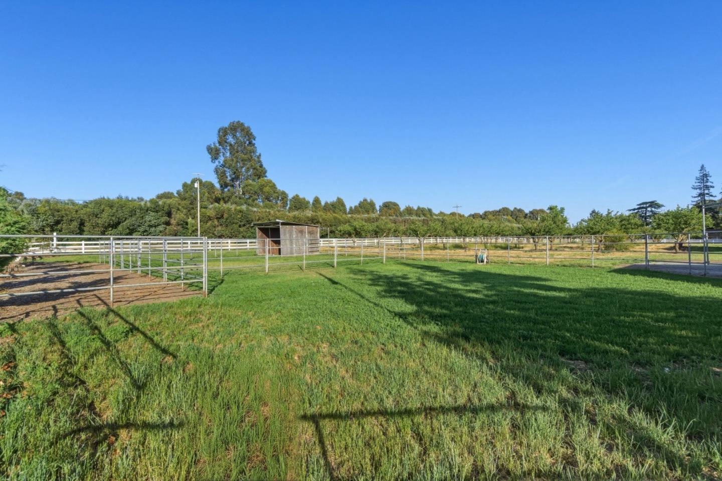 3390 Fallon Road