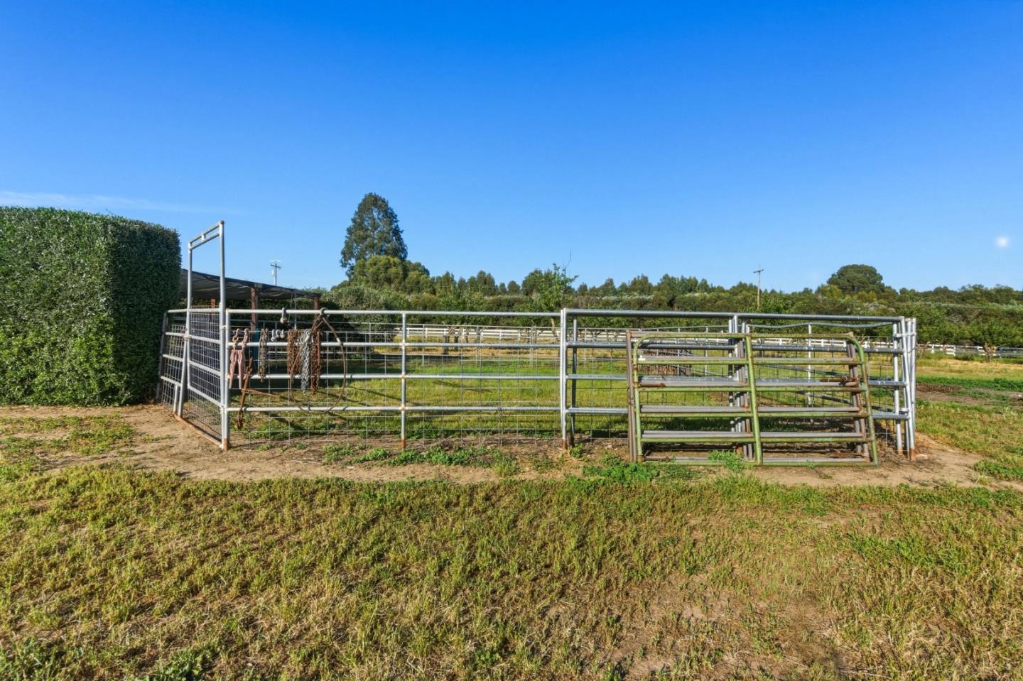3390 Fallon Road