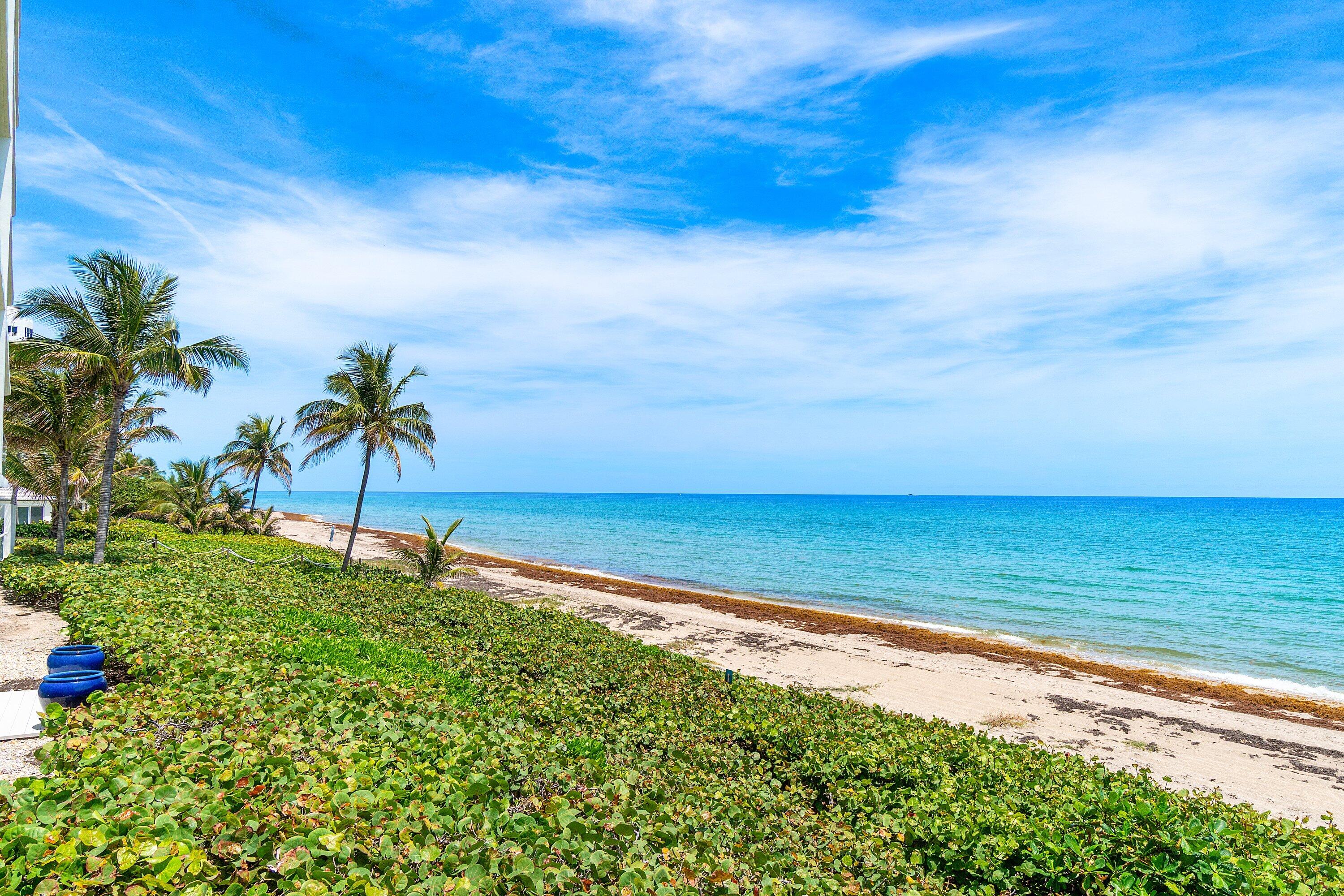 3505 S Ocean Boulevard 12n
