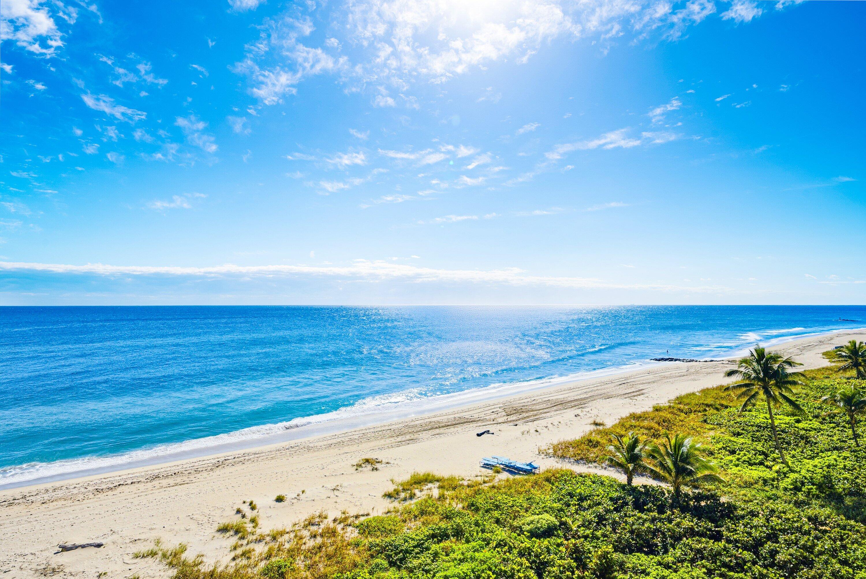 700 S Ocean Boulevard 501