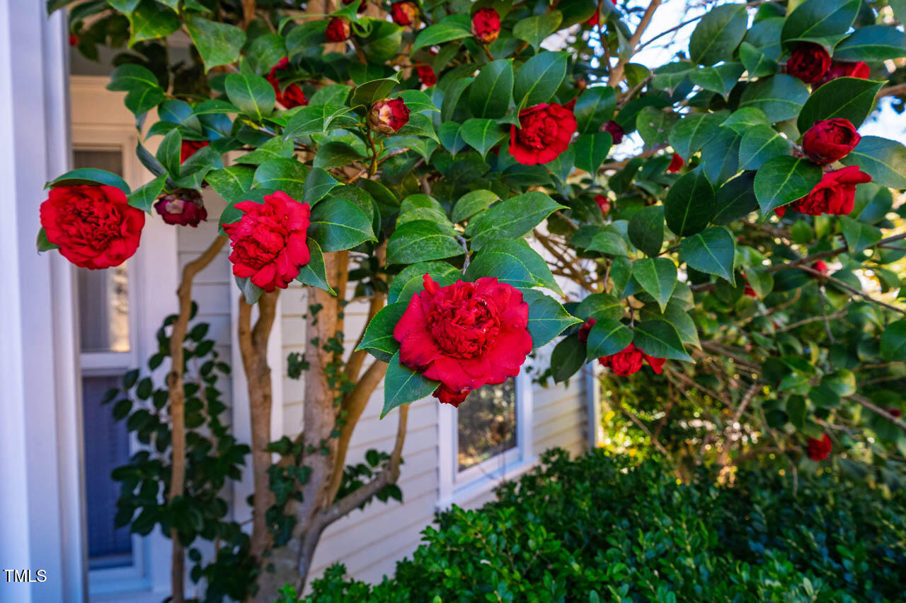 319 W Margaret Lane