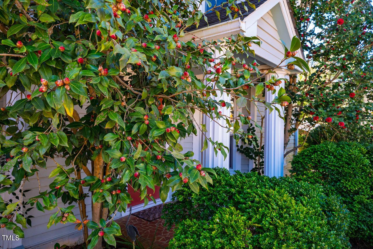 319 W Margaret Lane