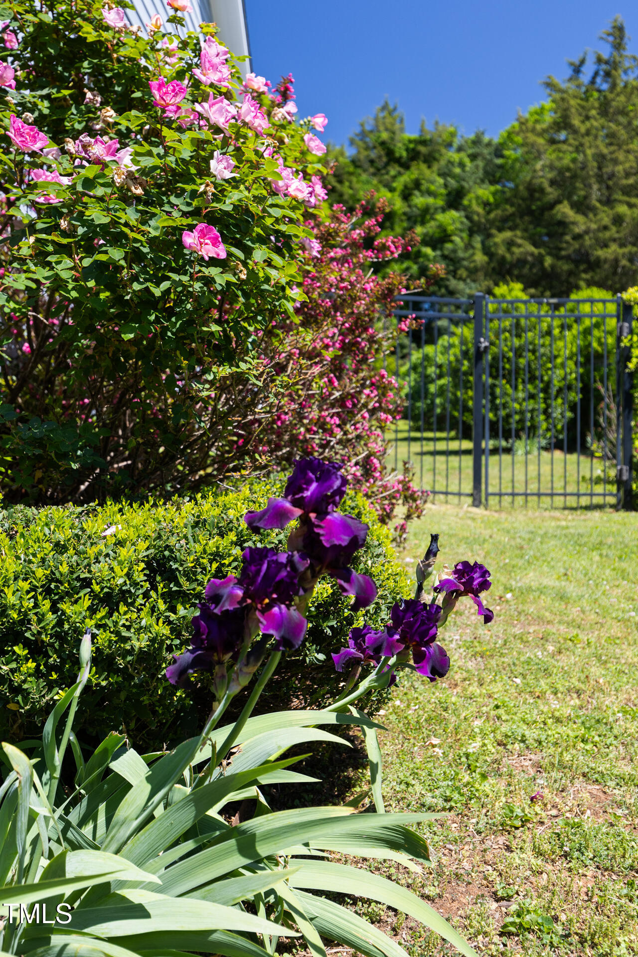 416 Mitchell Street