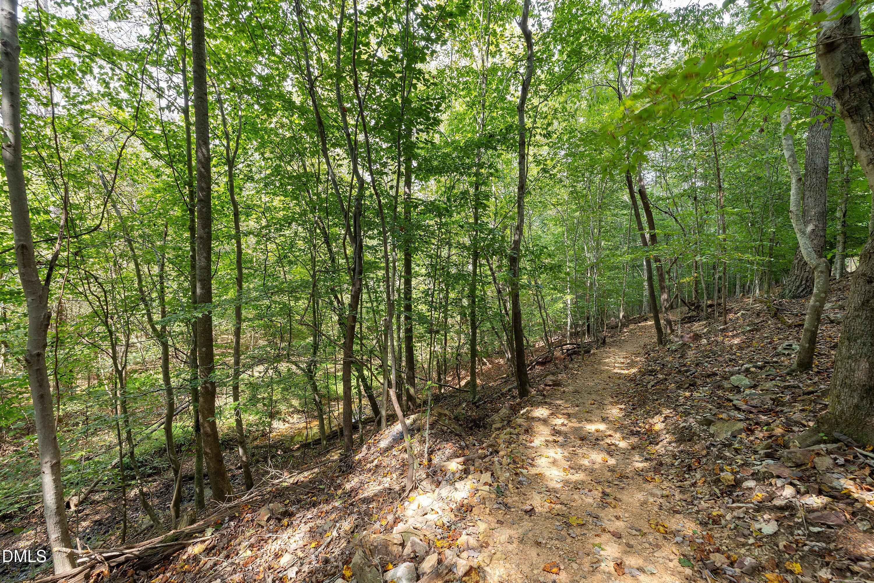 743 Lorentello Circle