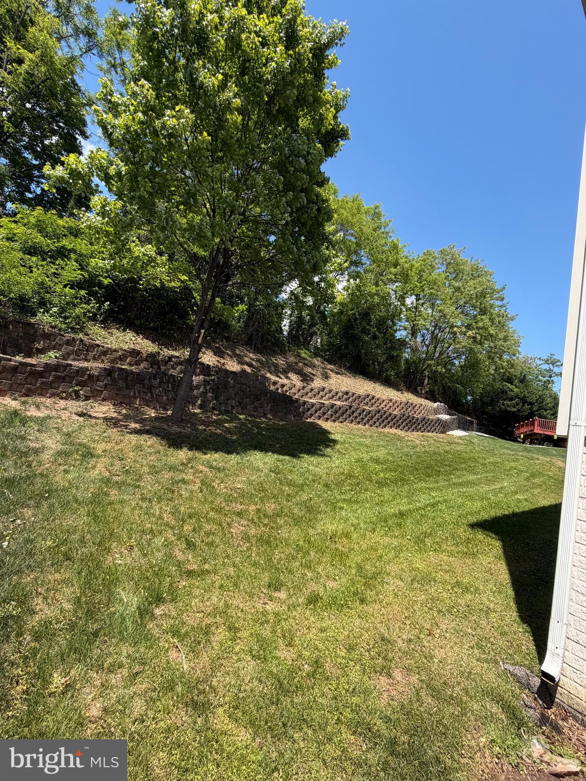 6006 JOSEPH SCOTT DRIVE