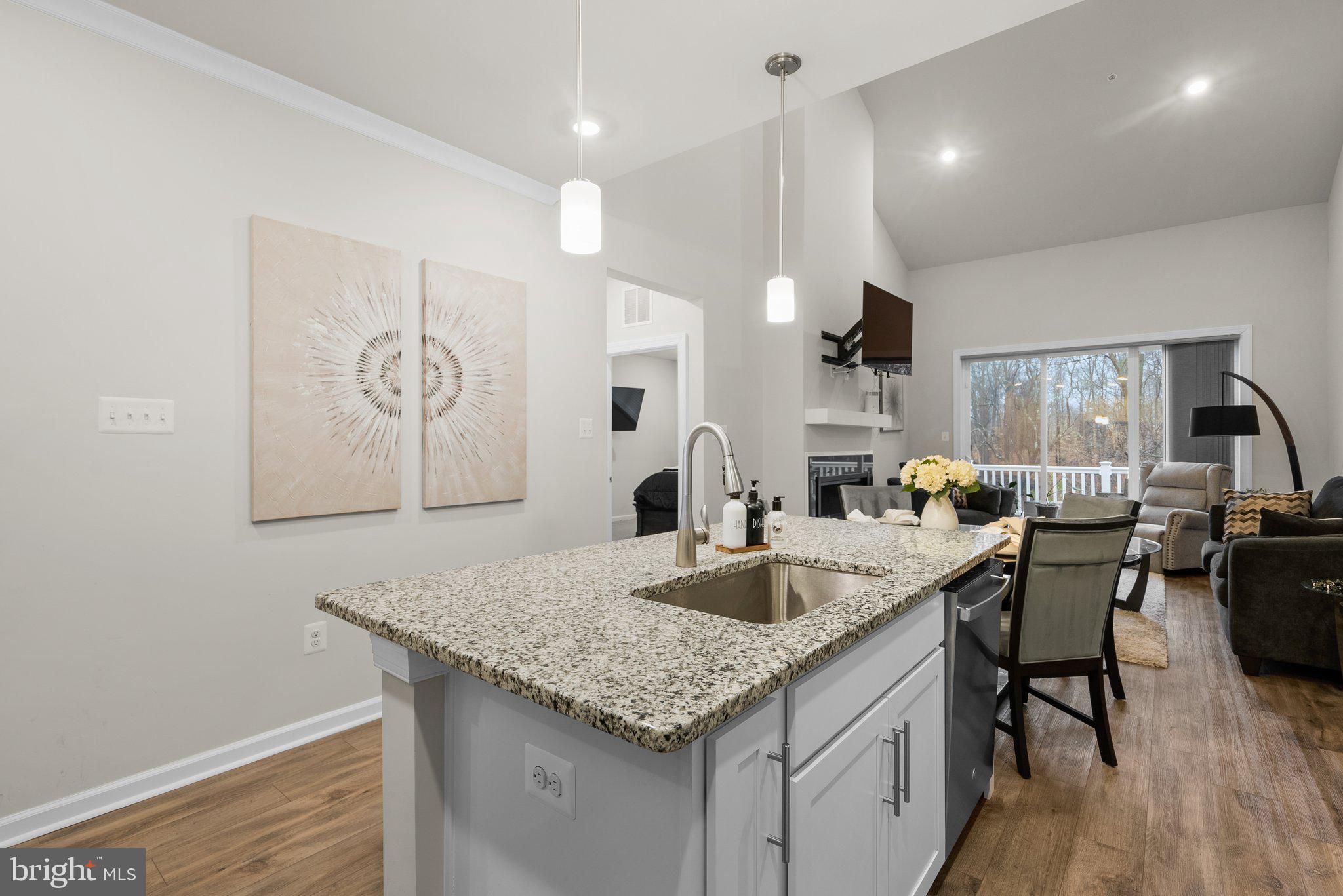 12132 AMERICAN CHESTNUT ROAD