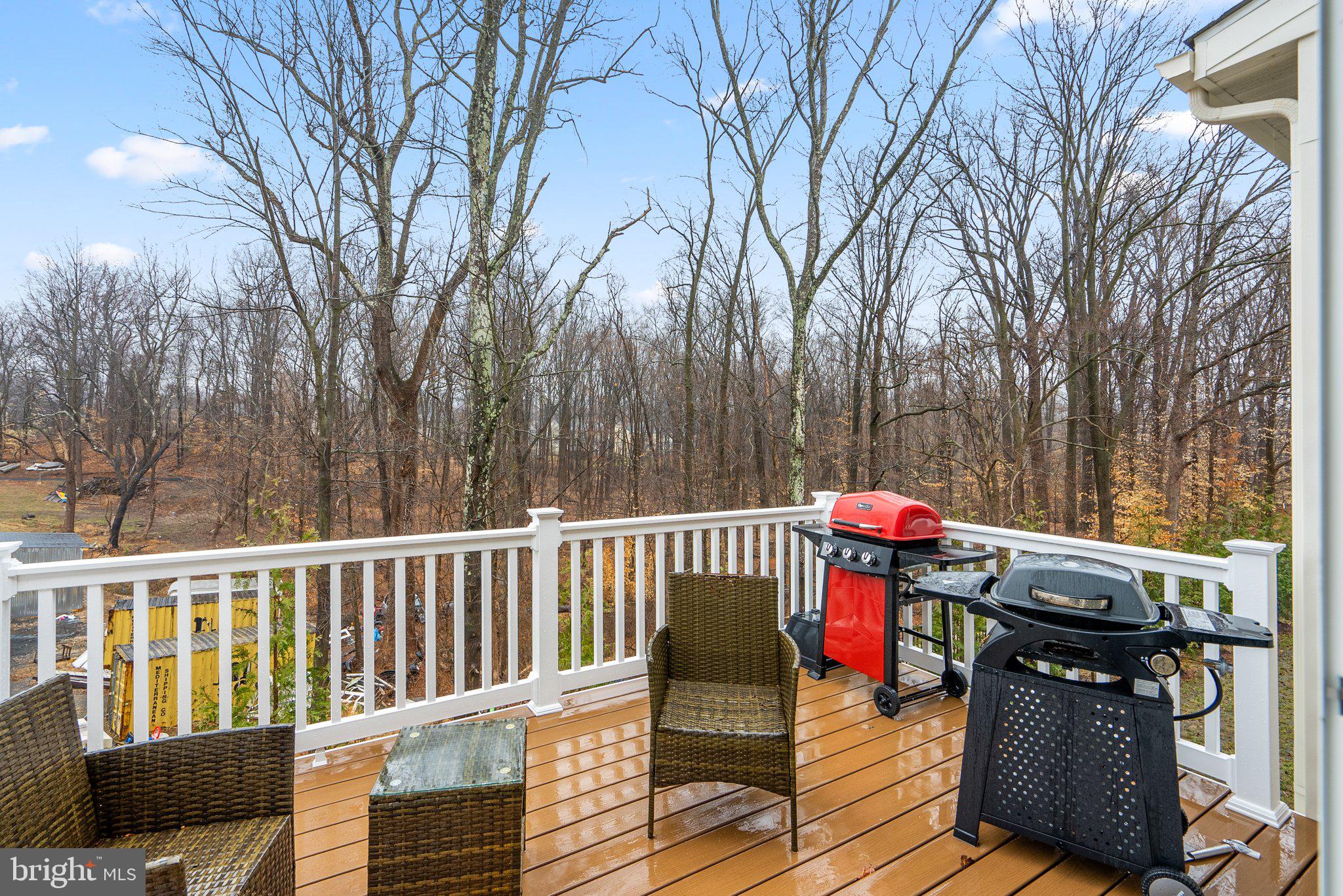 12132 AMERICAN CHESTNUT ROAD