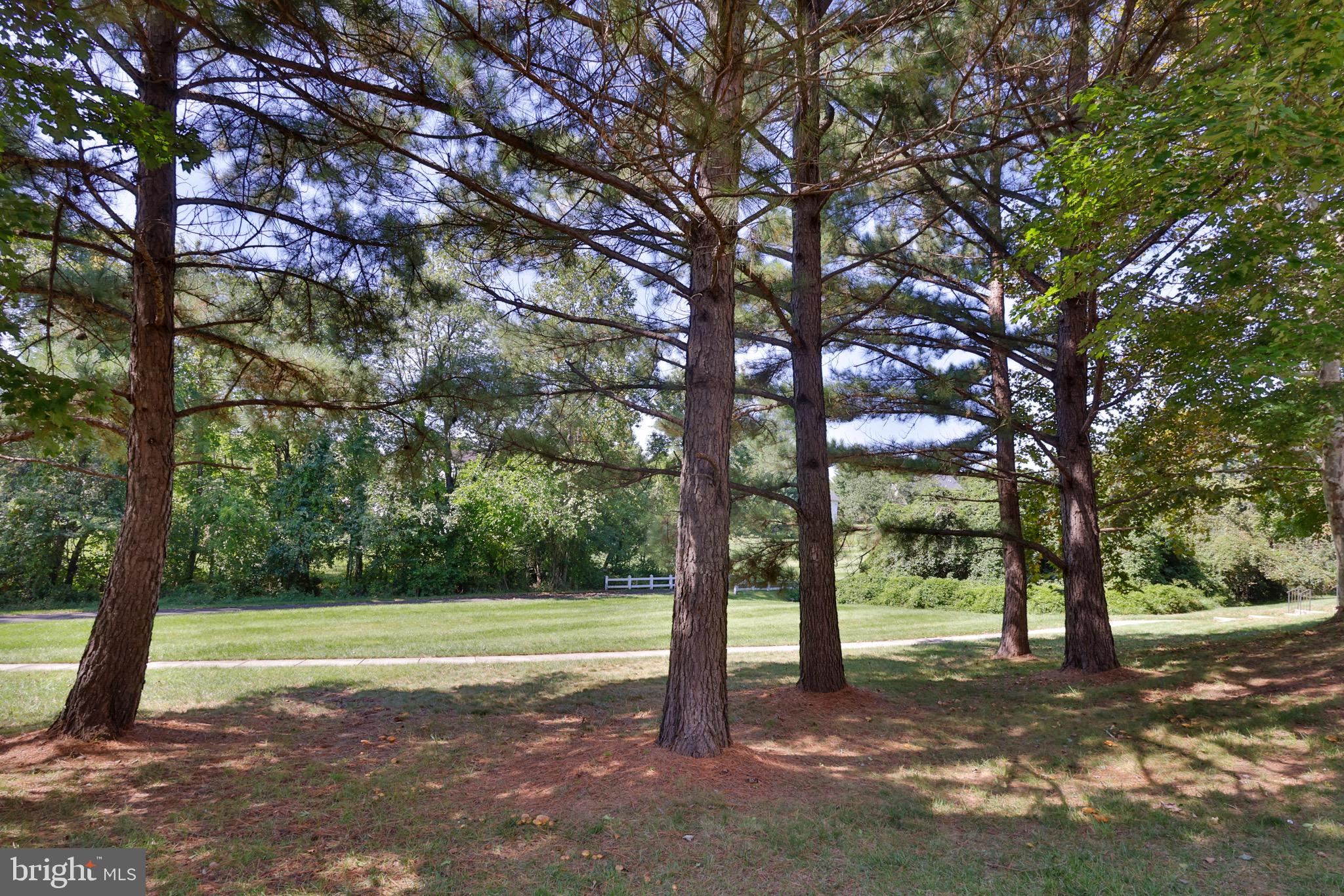 12816 GLADYS RETREAT CIRCLE 49