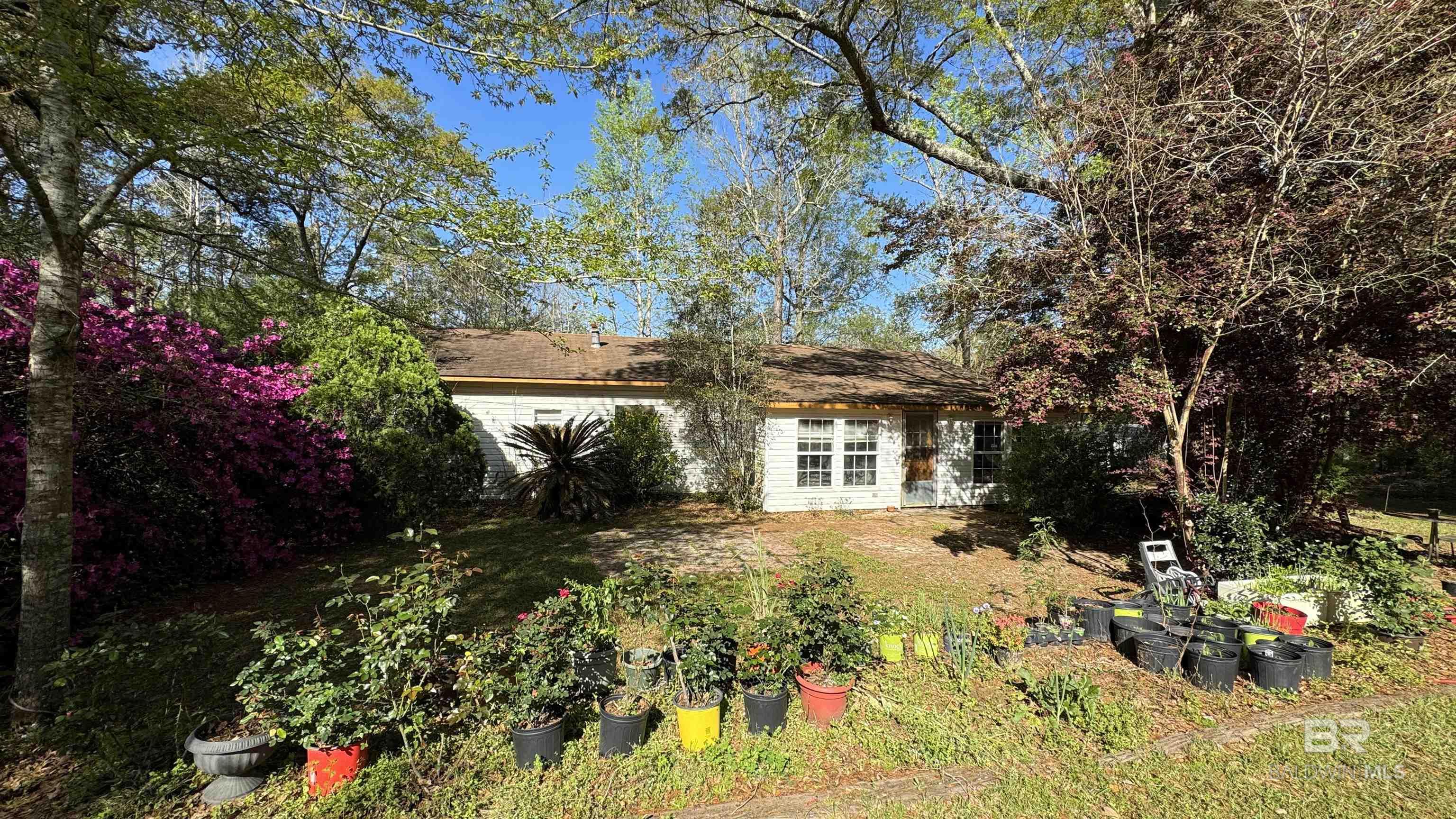 24601 Patterson Road