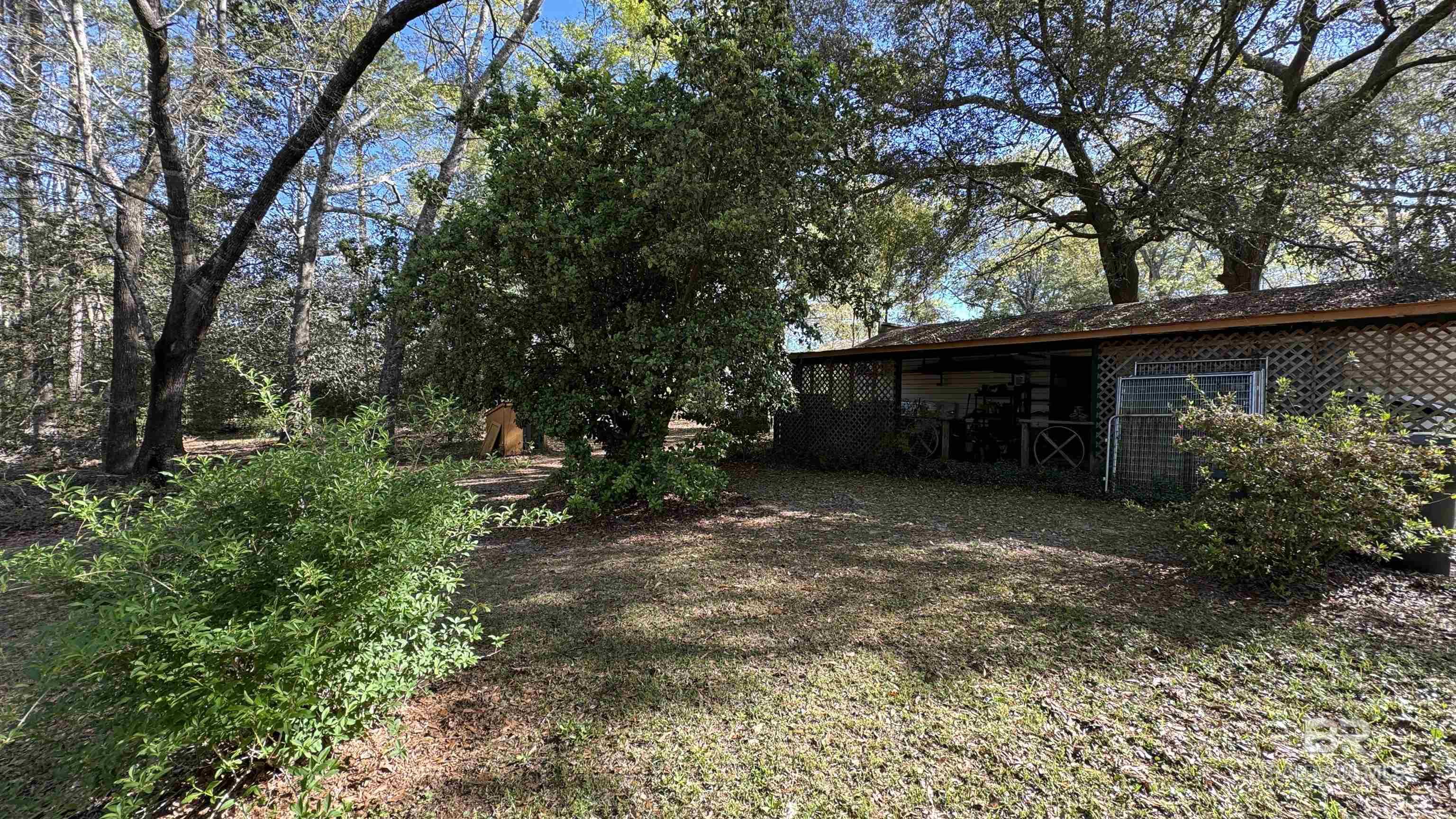 24601 Patterson Road