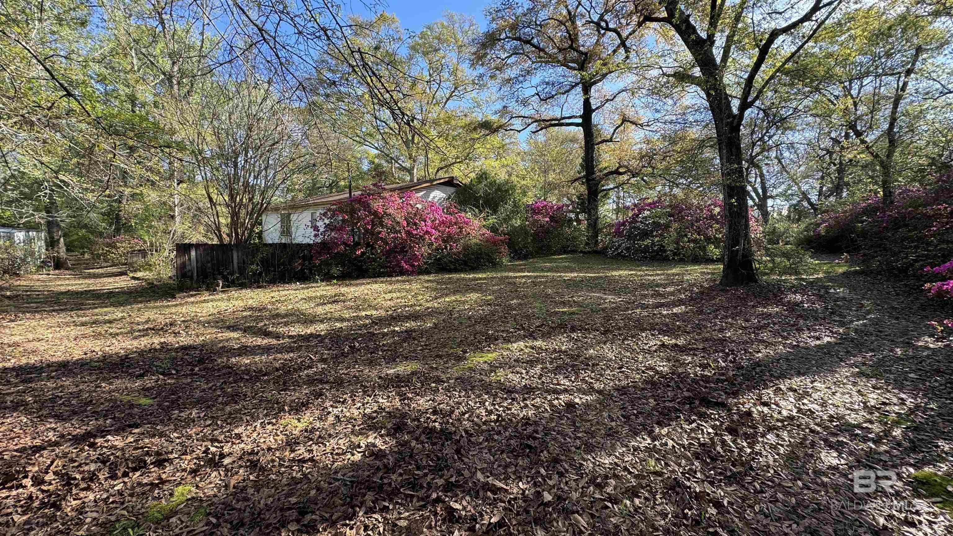 24601 Patterson Road