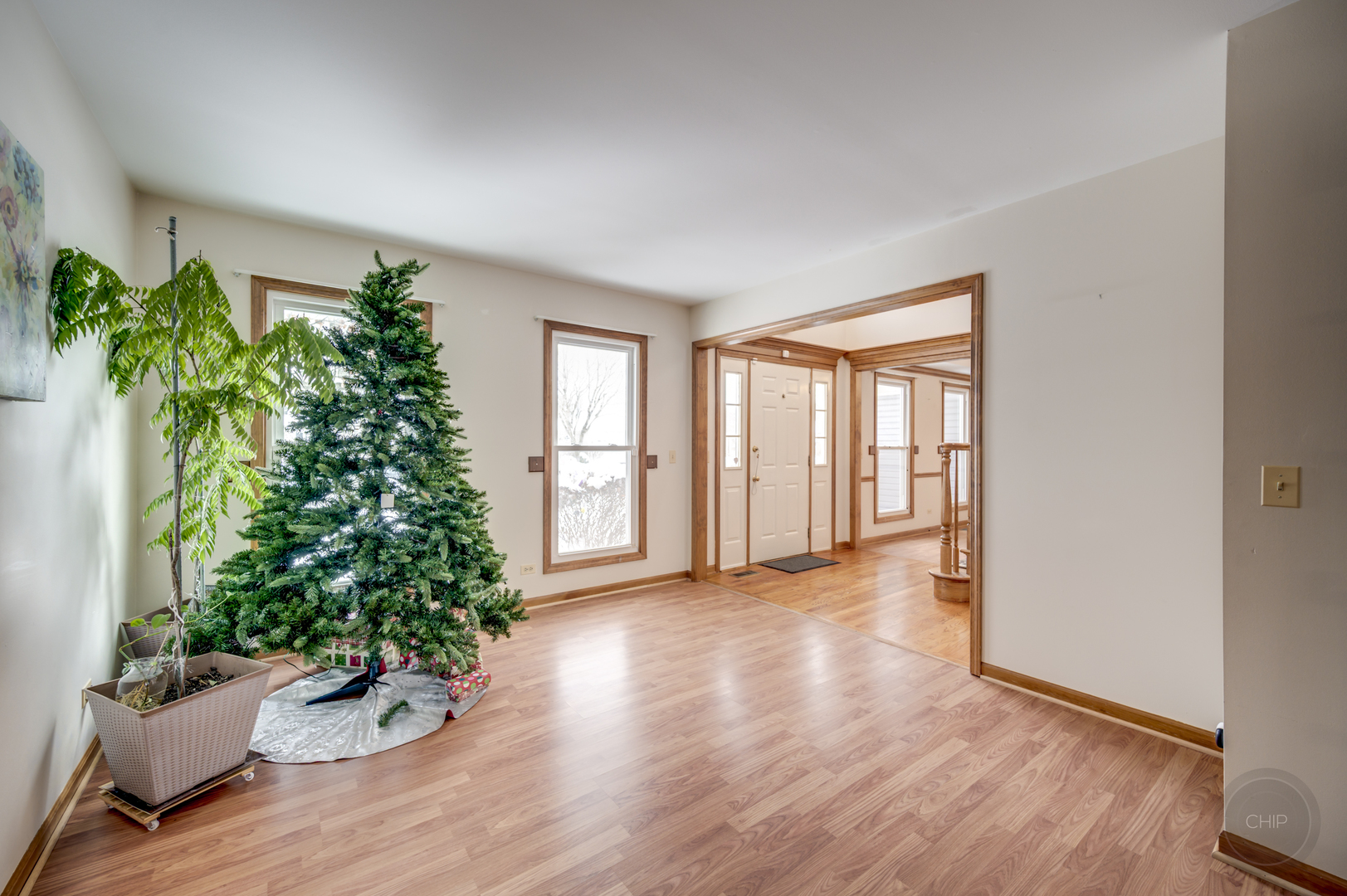 3479 Charlemaine Drive