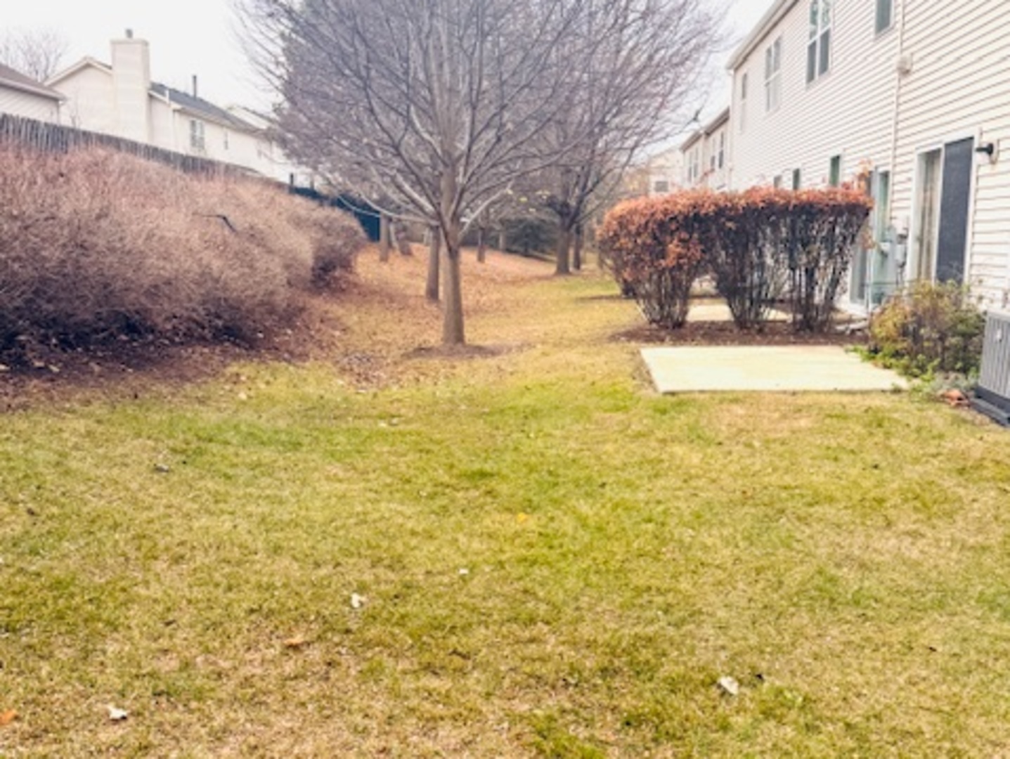 4055 Blackstone Drive Unit: 4055