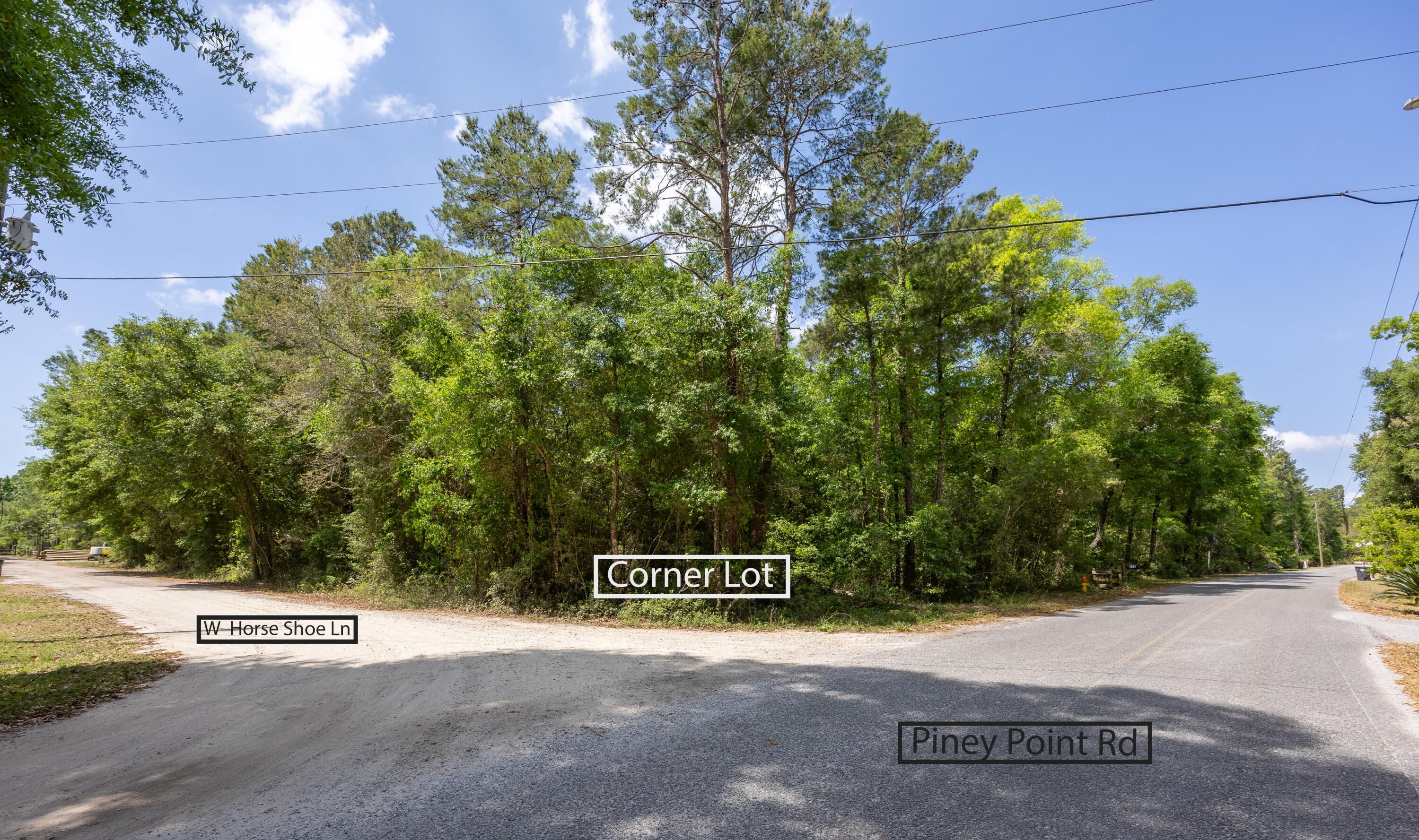 Lot X Piney Point Road